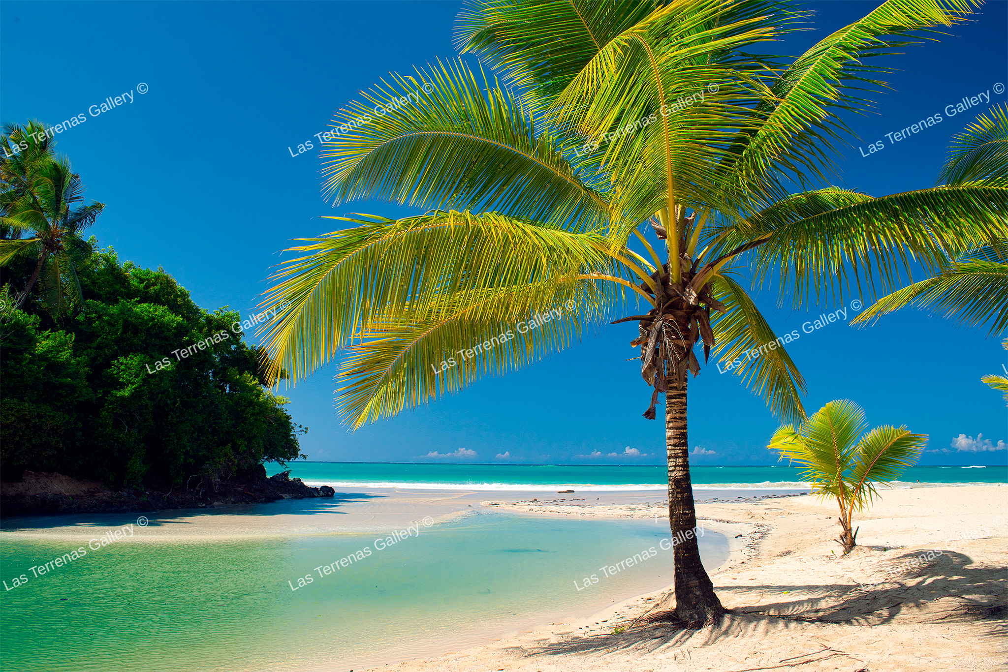 Rio Playa Las Ballenas 1670_0