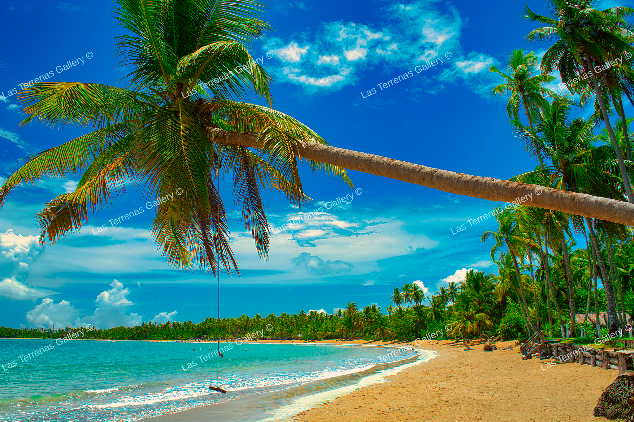 Playa Cosón 435_0