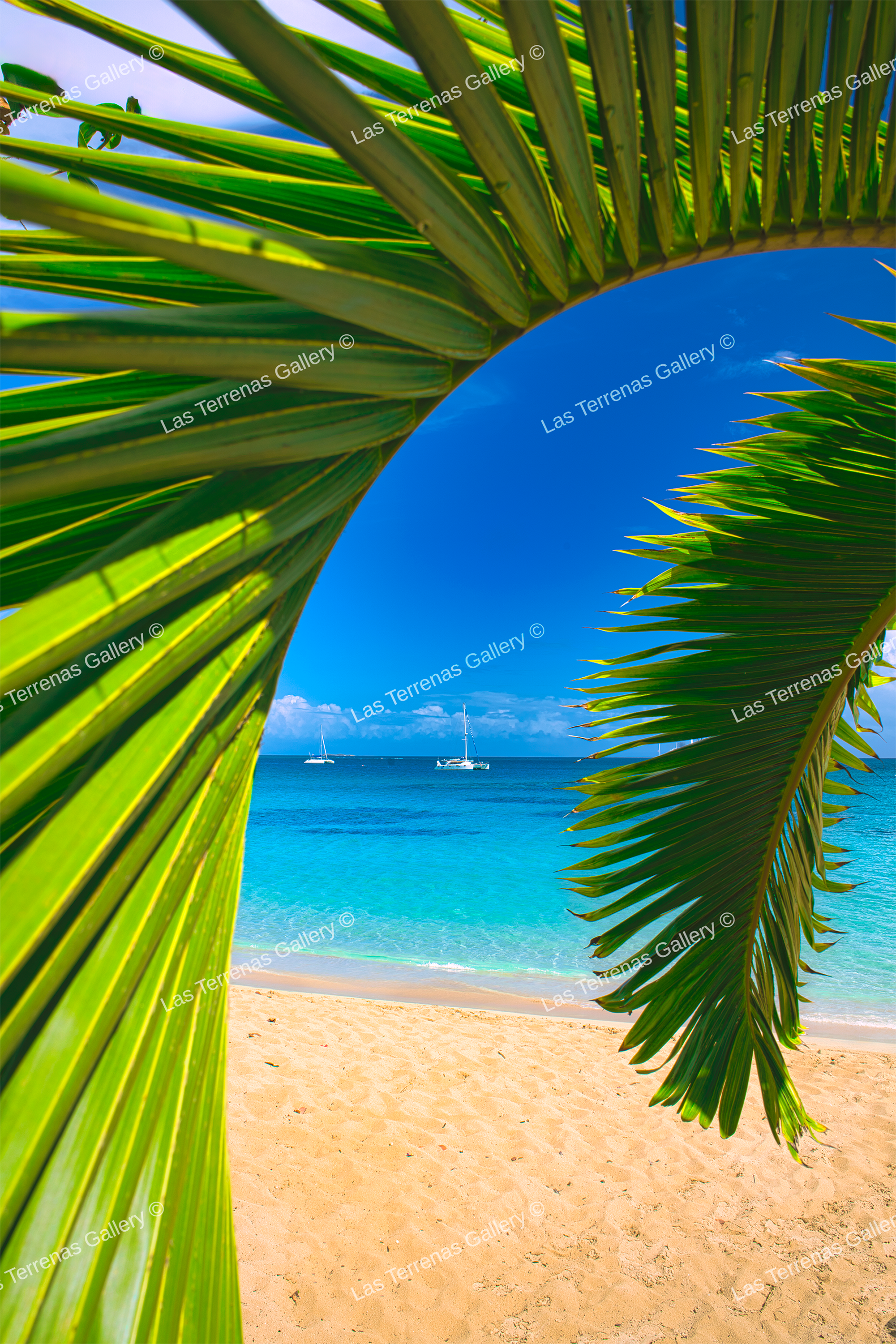 Playa Poppy 43_0
