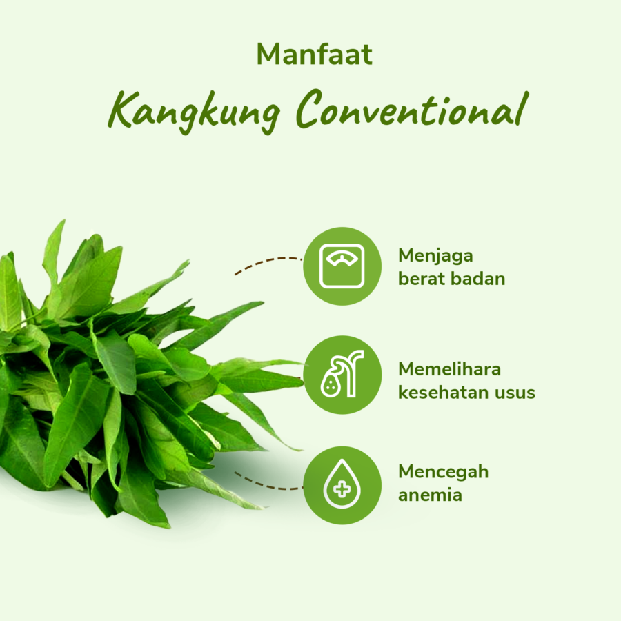 Kangkung Konvensional 200gram_2