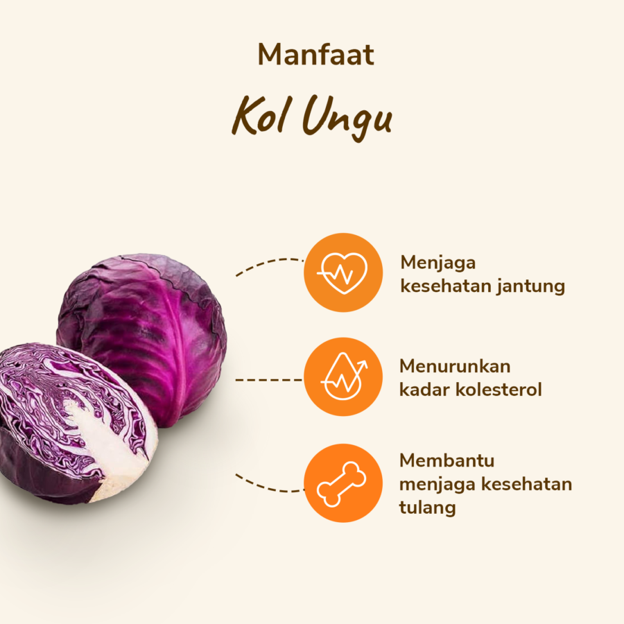 Kol Ungu 1 pcs 400-450 gram_2