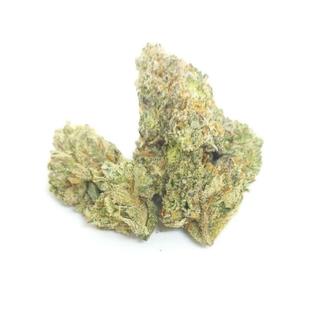 Banana Cooler_0
