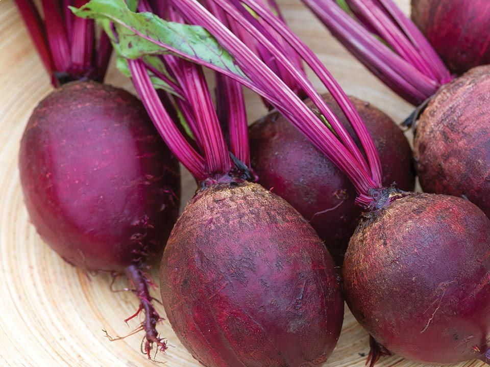 Beetroot_0