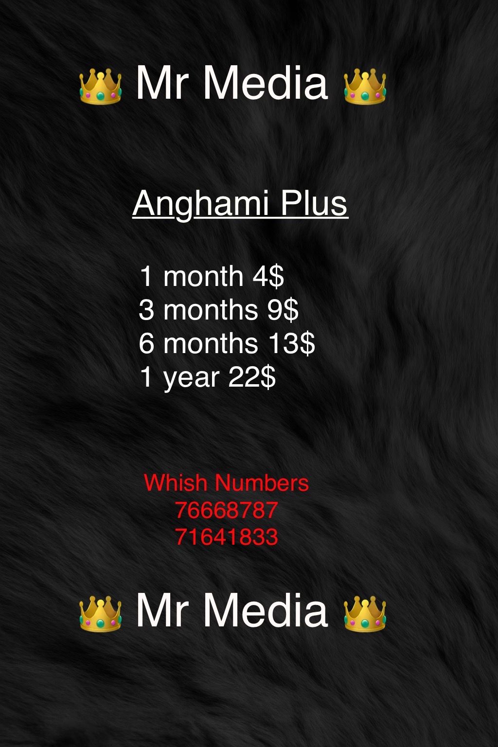 Anghami plus_0