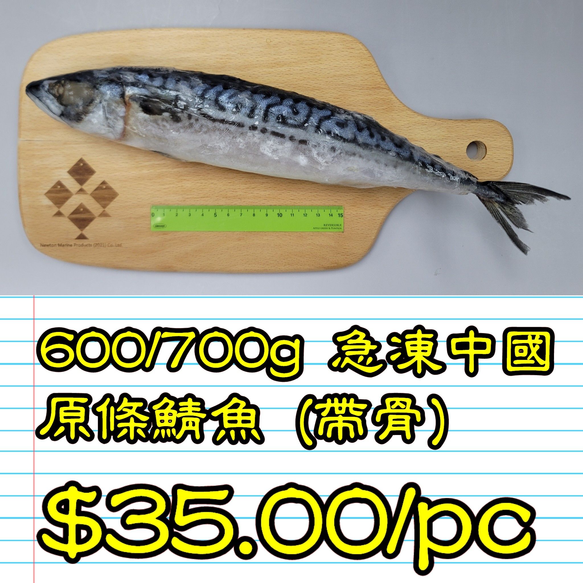 600/700g 急凍中國原條鯖魚 (帶骨)_1