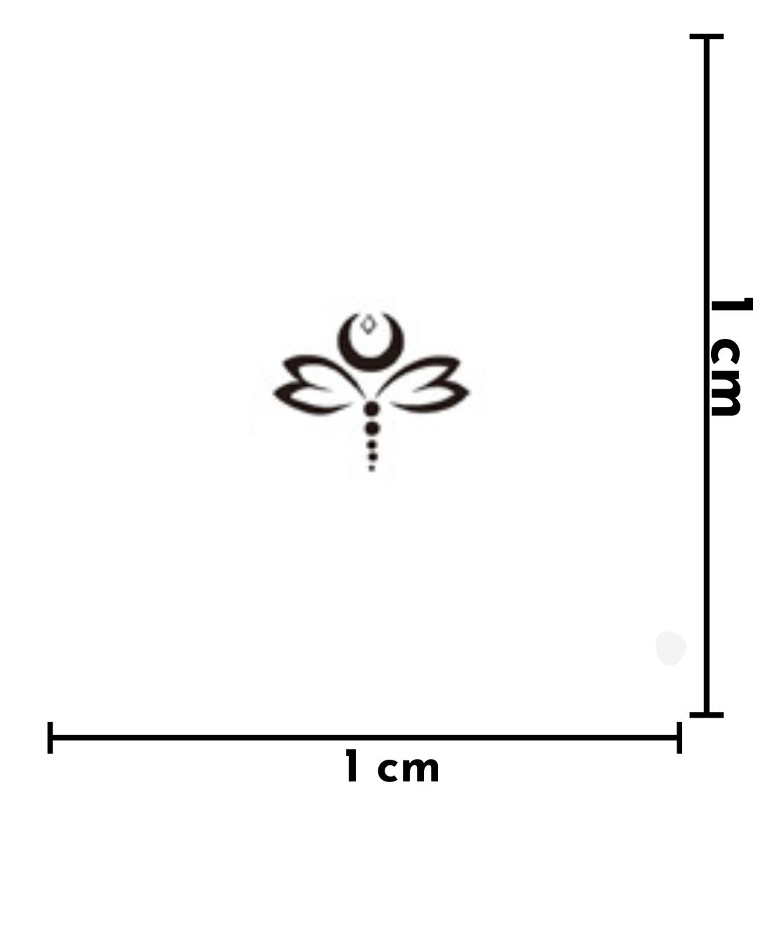 Vuelo - X 022.4_0