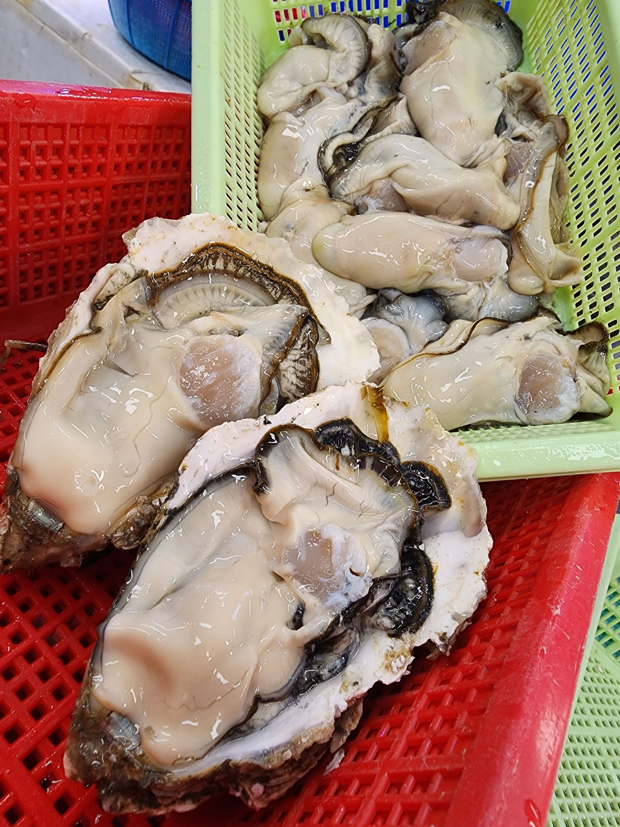 ⚠️勁豐富海鮮盒（1人前）（❗️已清洗及處理好❗️）_2