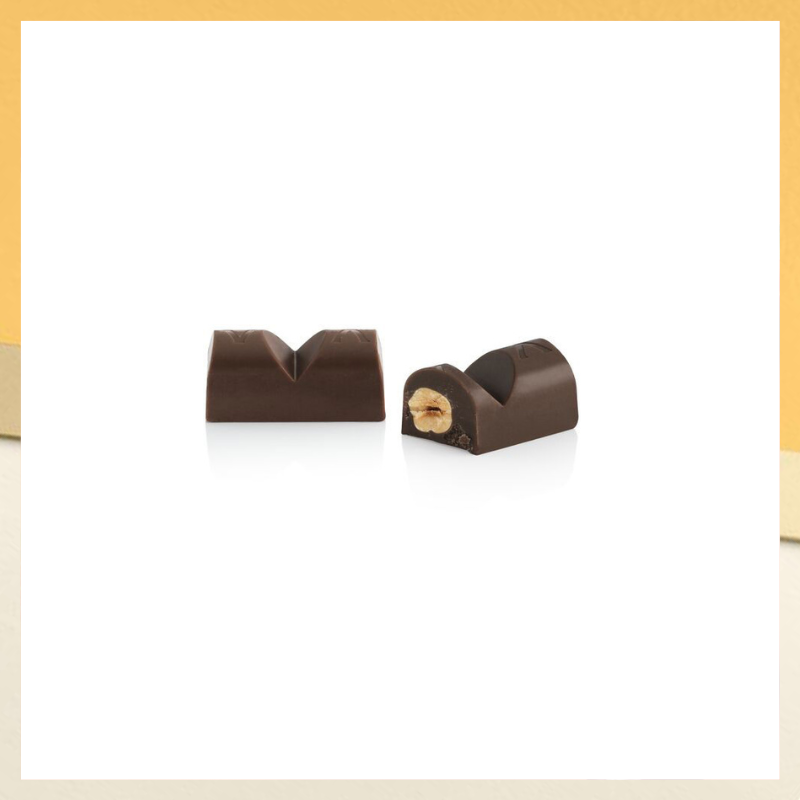 DARK HAZELNUT INGOT (7PCS/100G)_2
