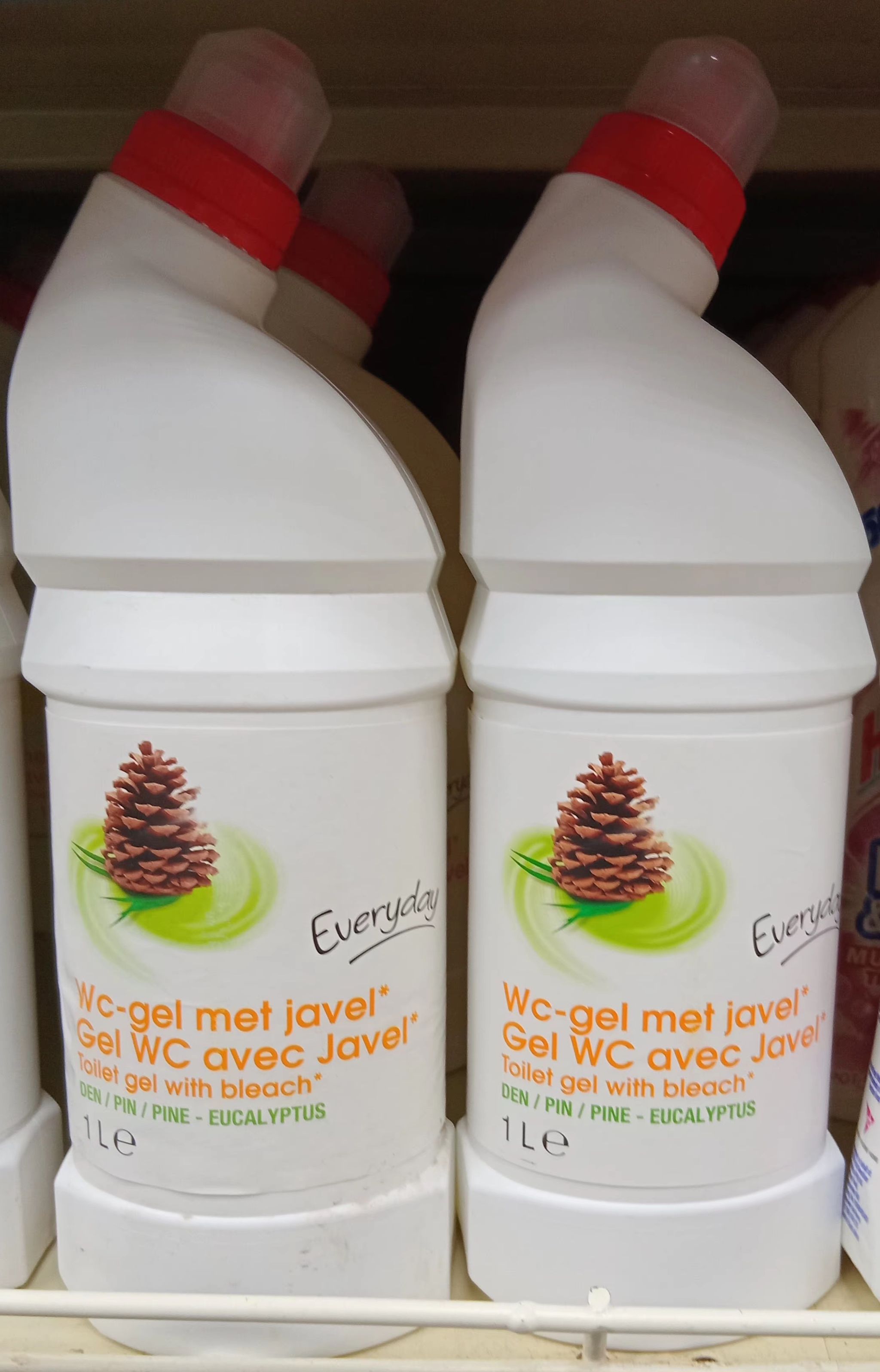 Everyd Gel W.C Avec Javel Pine 1lt_0