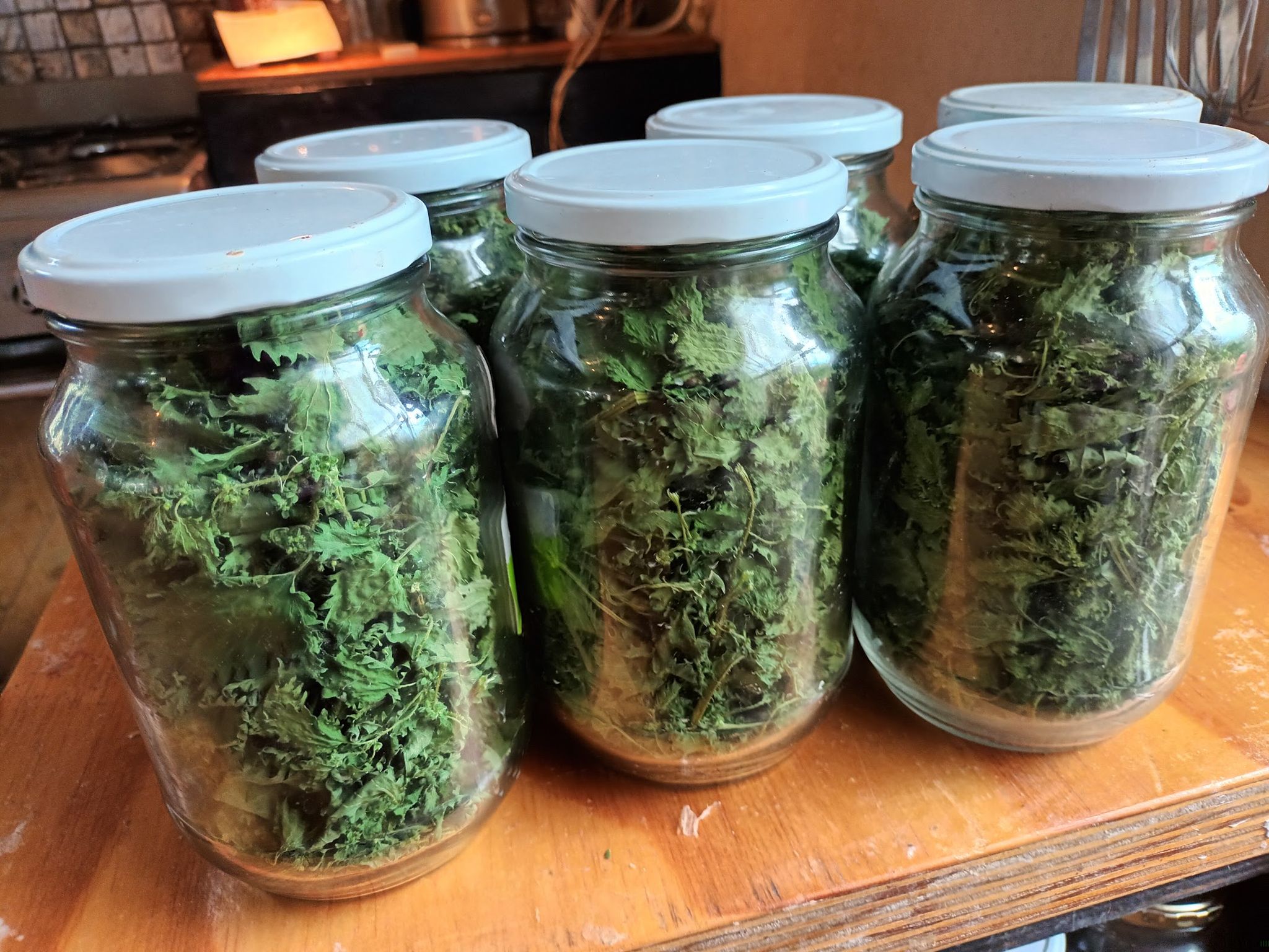 Nettle spiced tea _1