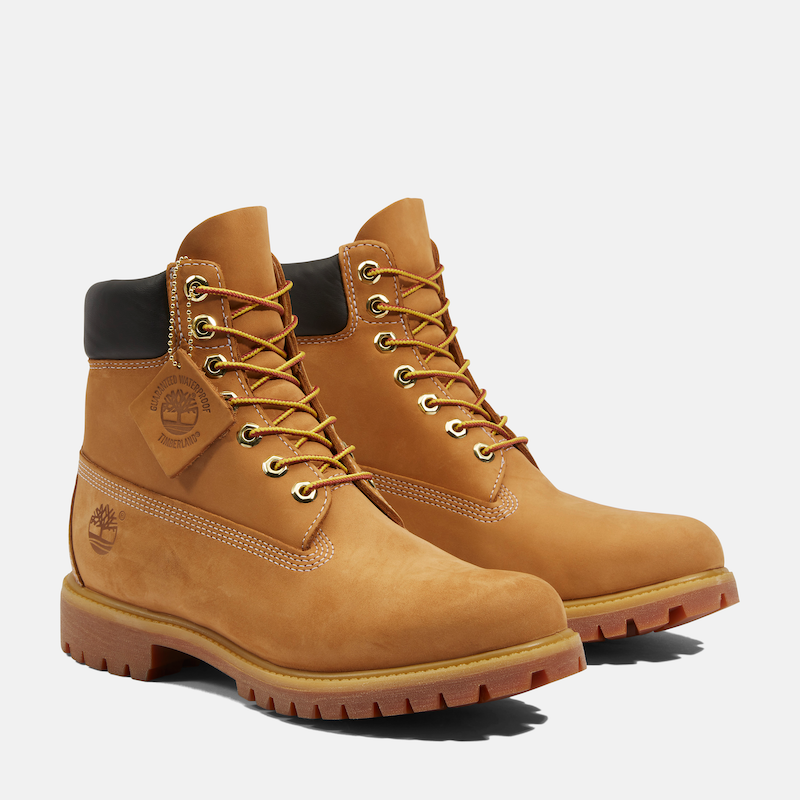 Timberland 6 inch boot X Wheat_1