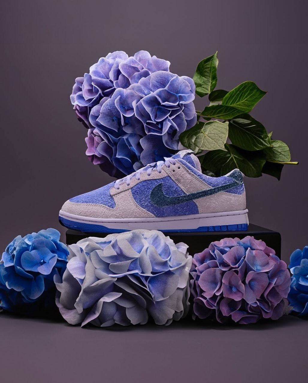 Nike Sb_5