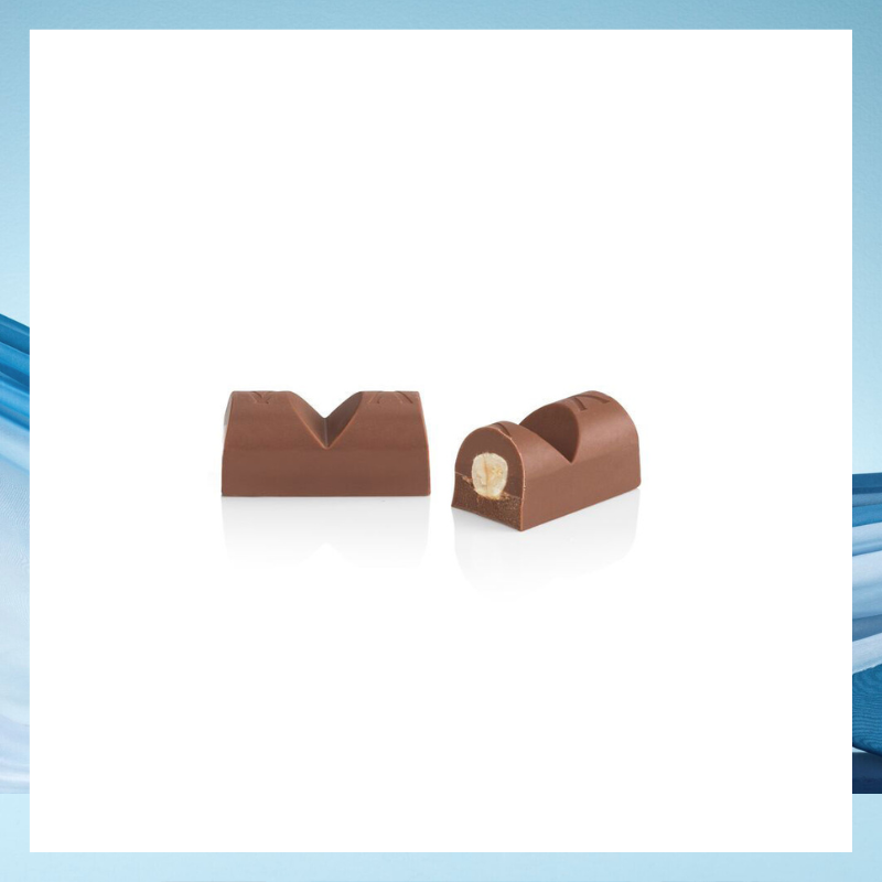 NO ADDED SUGAR MILK HAZELNUT INGOT (7PCS/100G)_3
