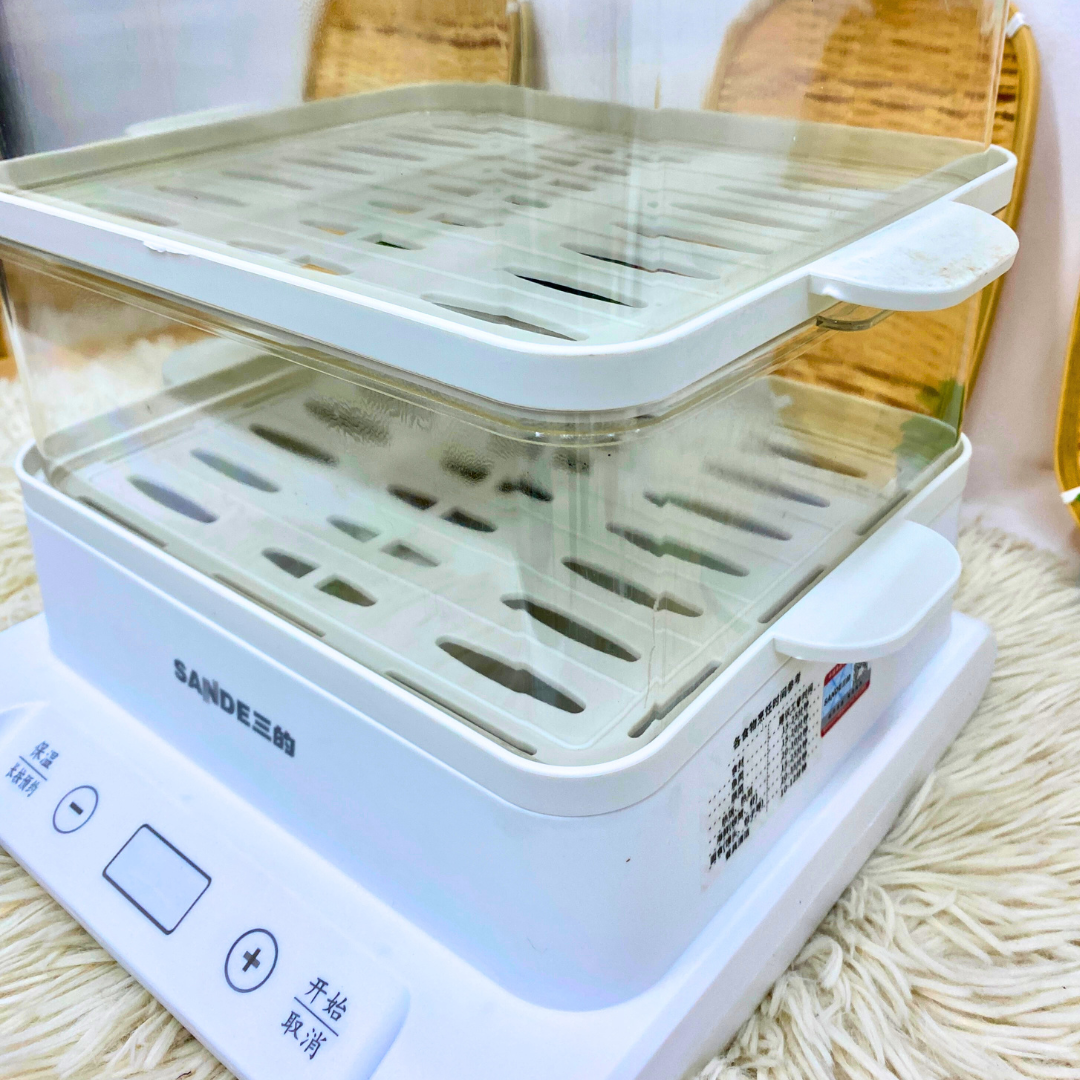 ELECTRIC STEAMER 20L (PENGUKUS)_1