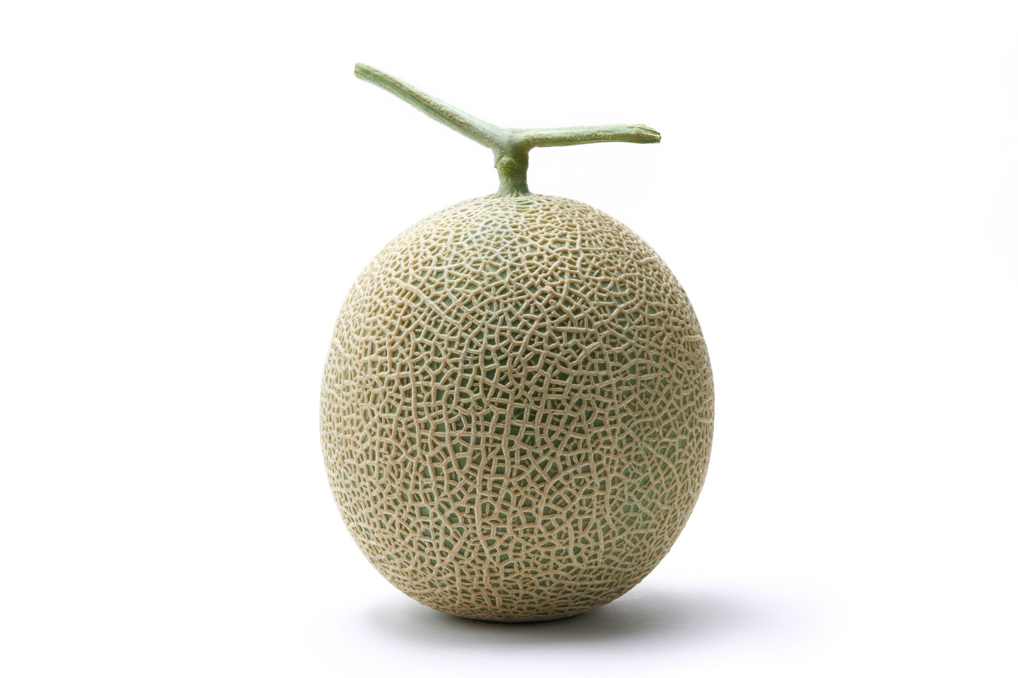 (HUGE & SWEET) Crown Melon クラウンメロン | Shizuoka Prefecture (静岡県)_0