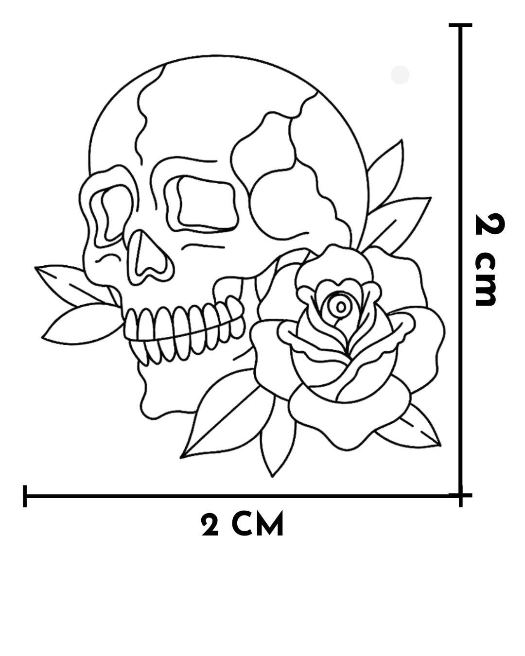 Calavera y rosa_0