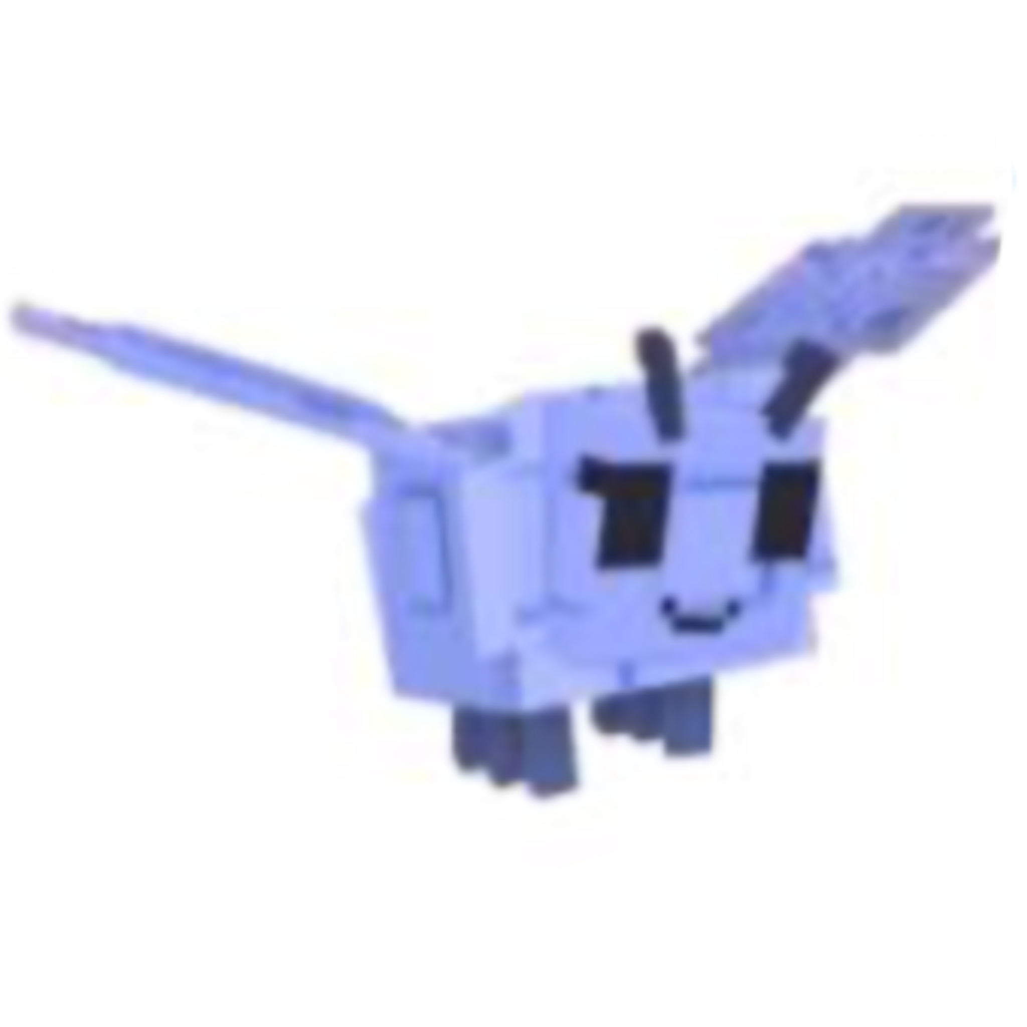Moth_0