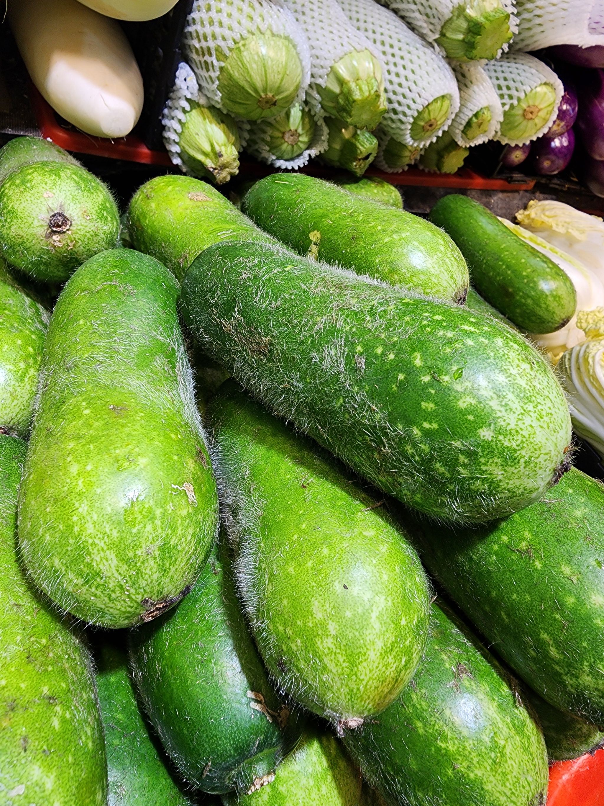 節瓜🥦（3隻）_0