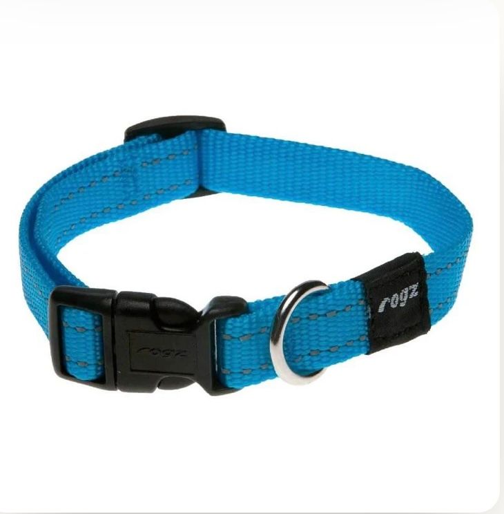 ROGZ  UTILITY CLASSIC COLLAR (M) TERQUOISE REFLECTIVE (M)_0