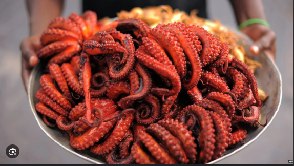 Octopus (Pweza)_0