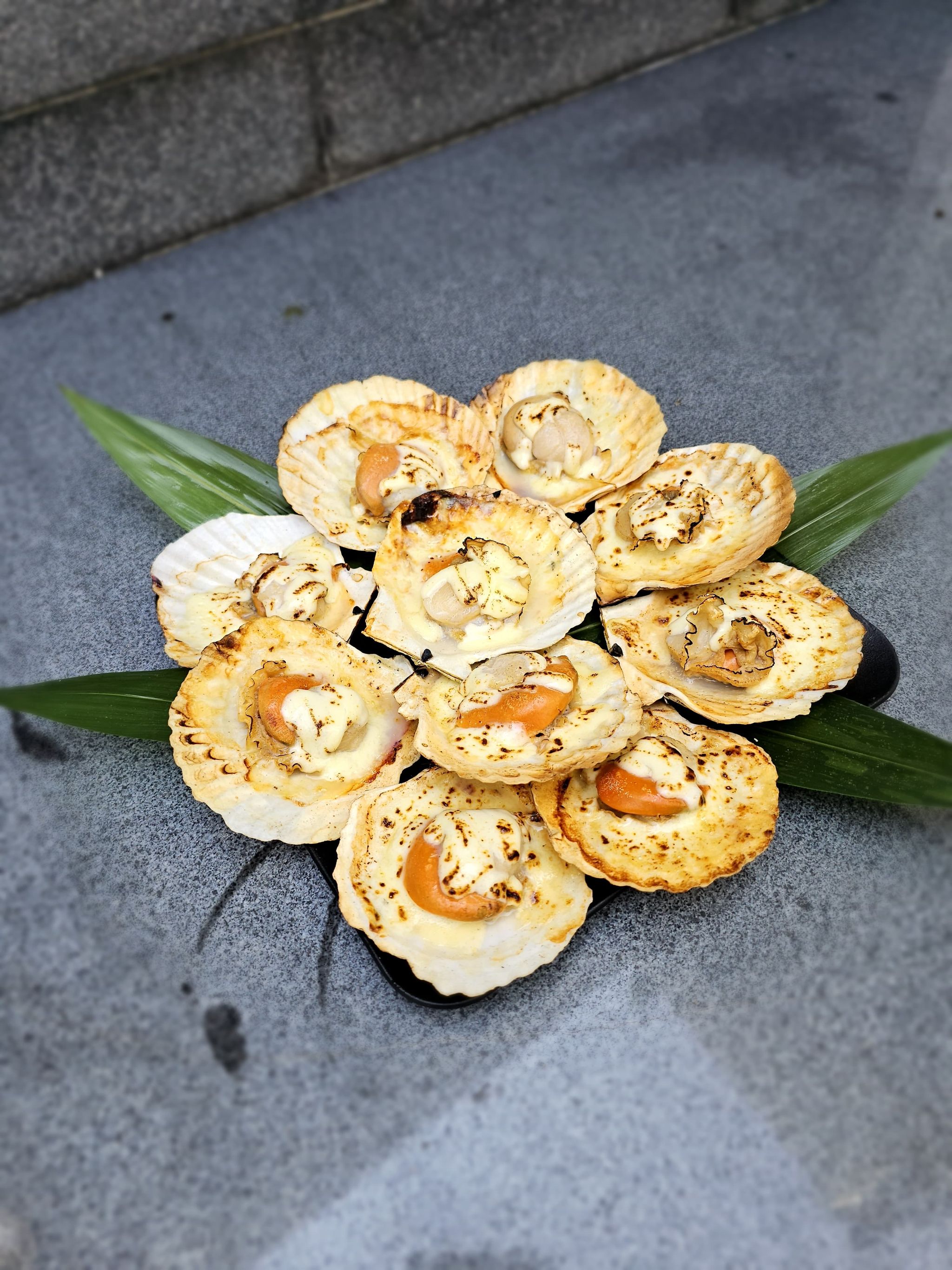 Jumbo Half-Shell Scallops_1