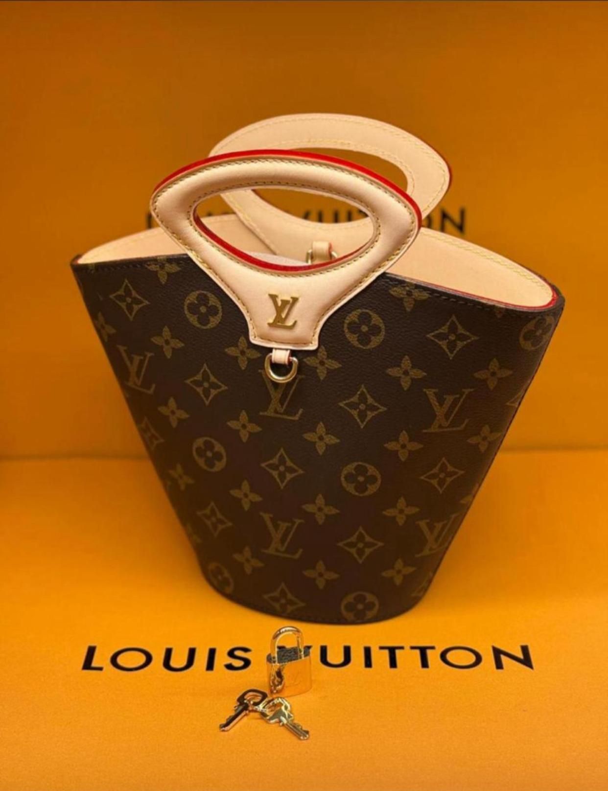 Louis Vuitton_12