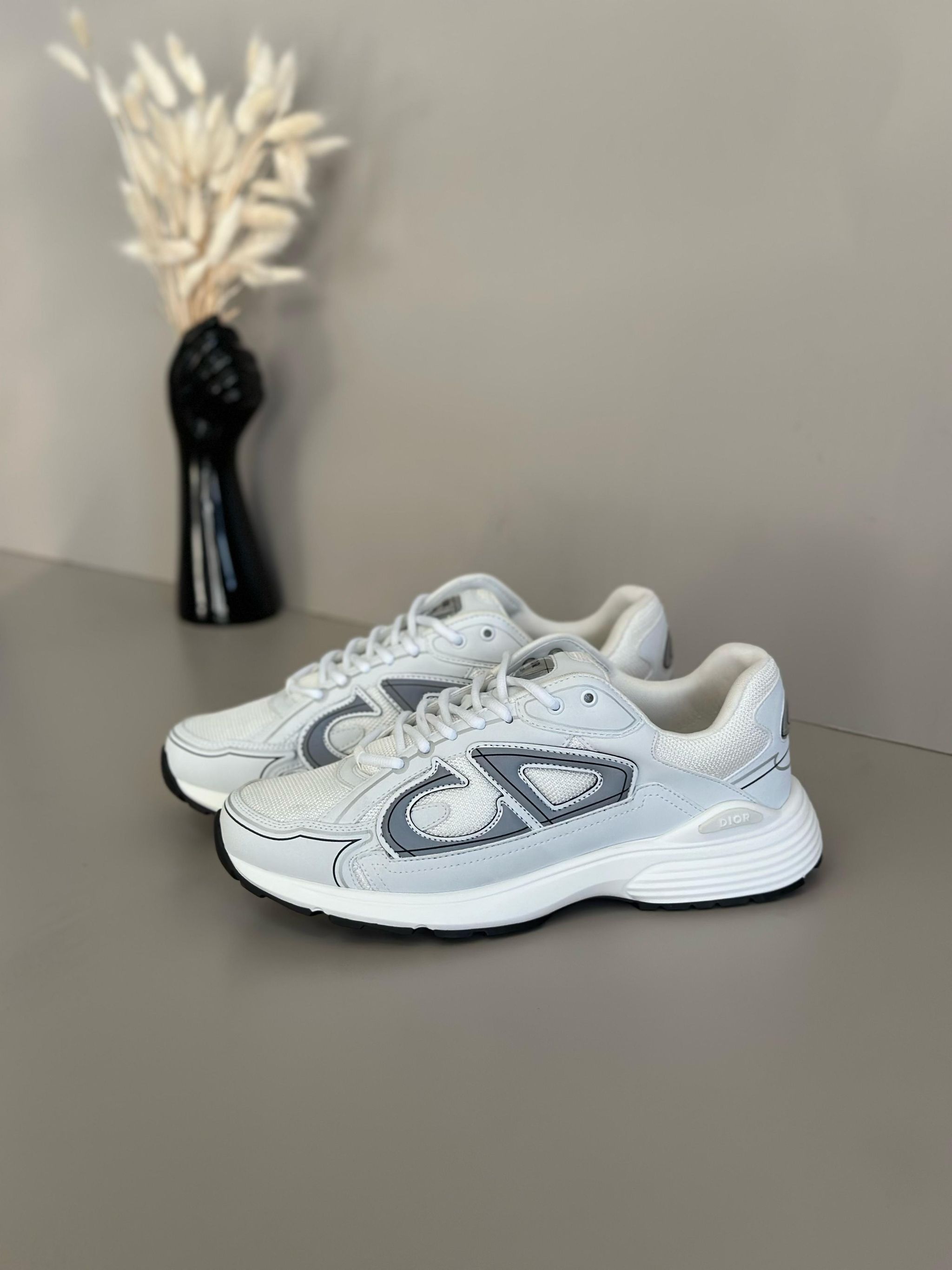 Dior Sneakers _20