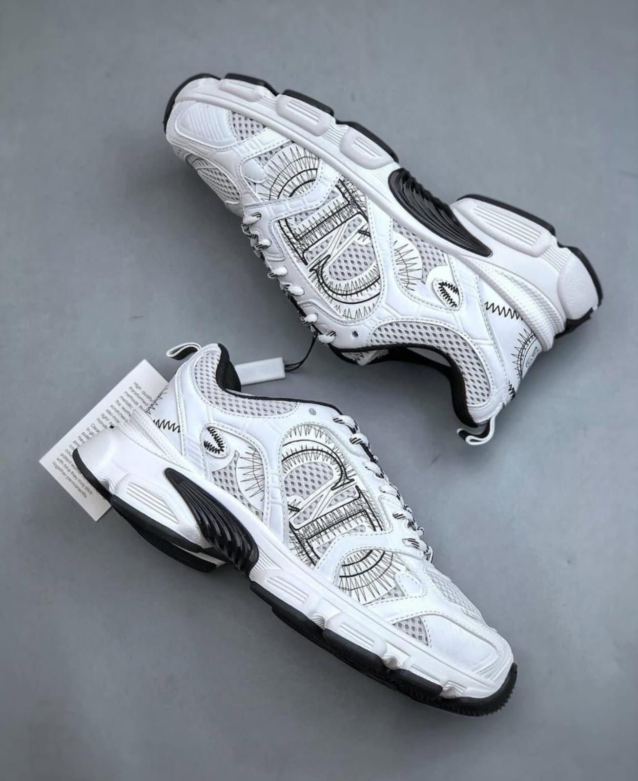 Dior Sneakers _23