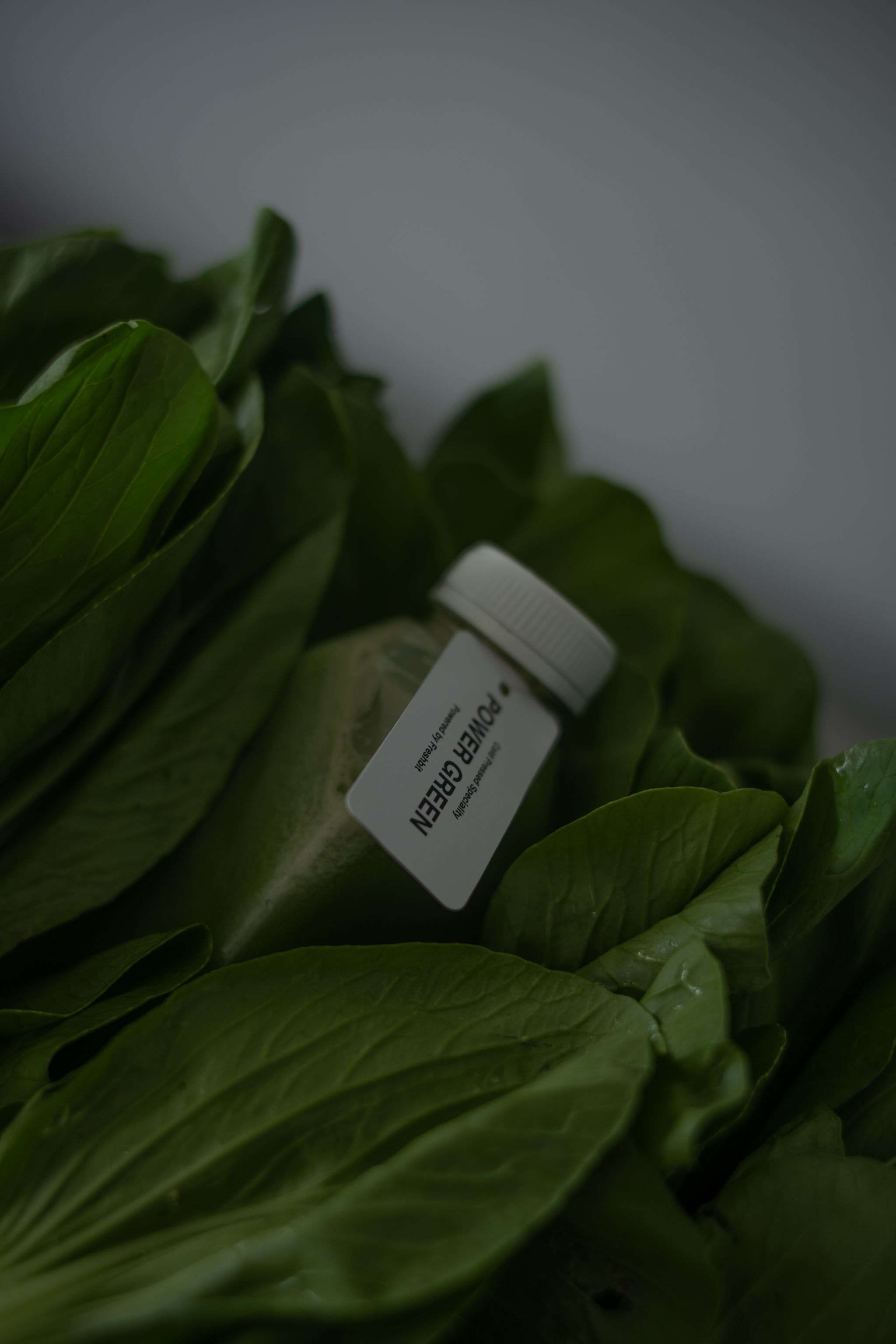 DAILY GREEN _0