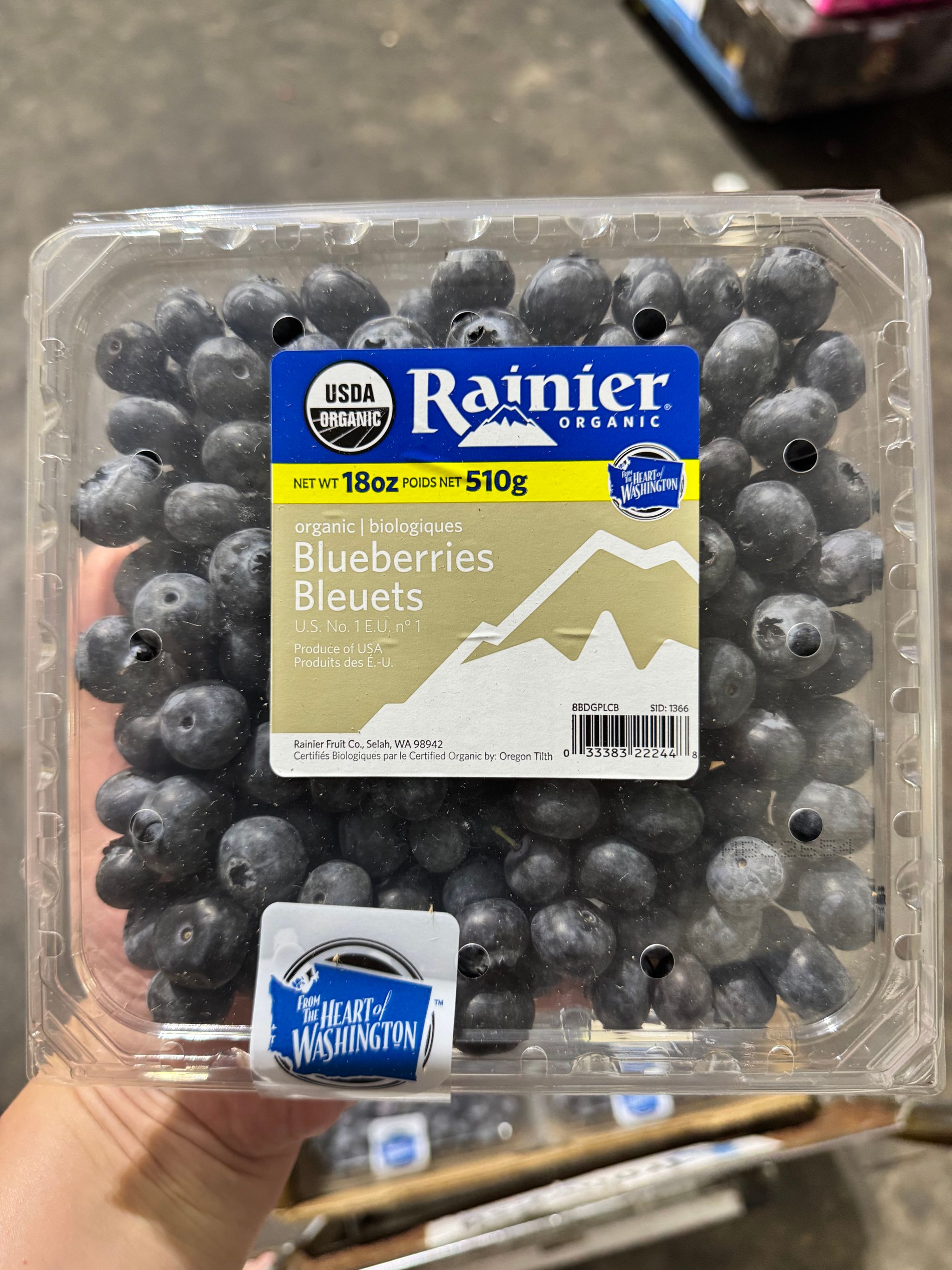 USA Organic Blueberry - 510g _1