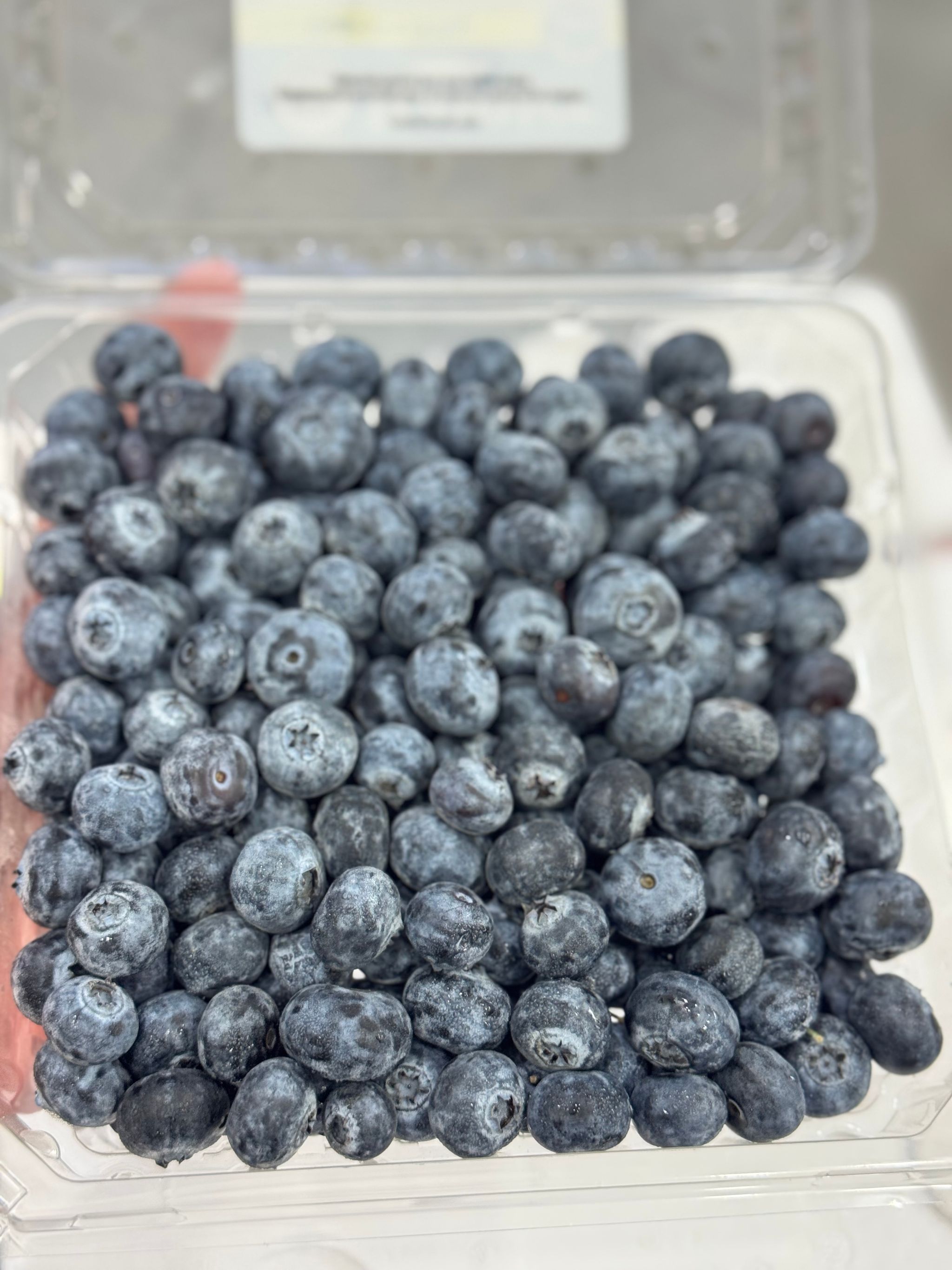 USA Organic Blueberry - 510g _0