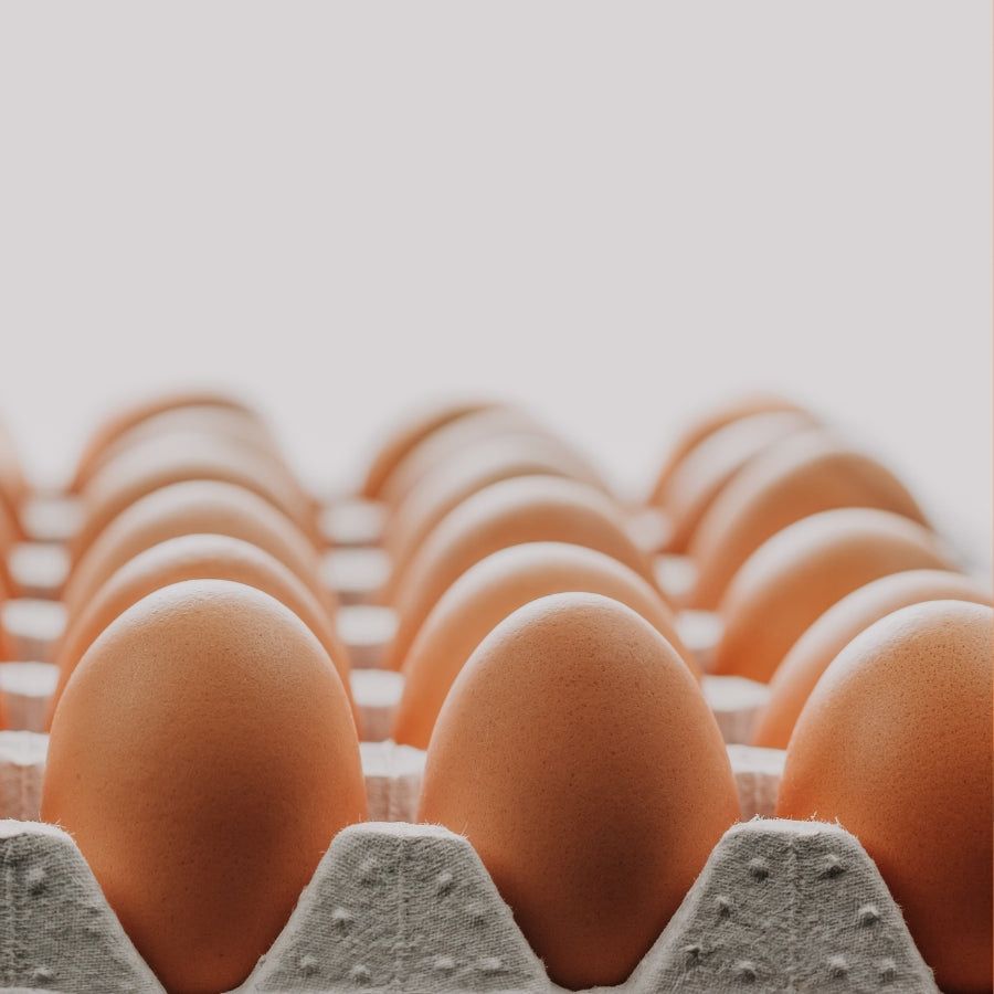 Plaquette d’œuf frais 🥚 🍳 _0