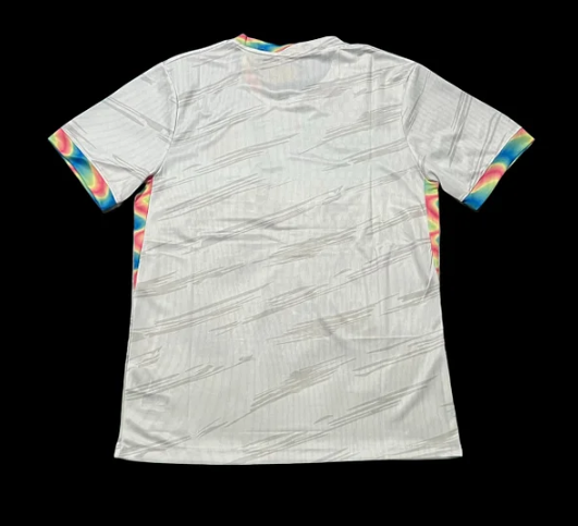 Camiseta edición especial FC Barcelona 25/26_1