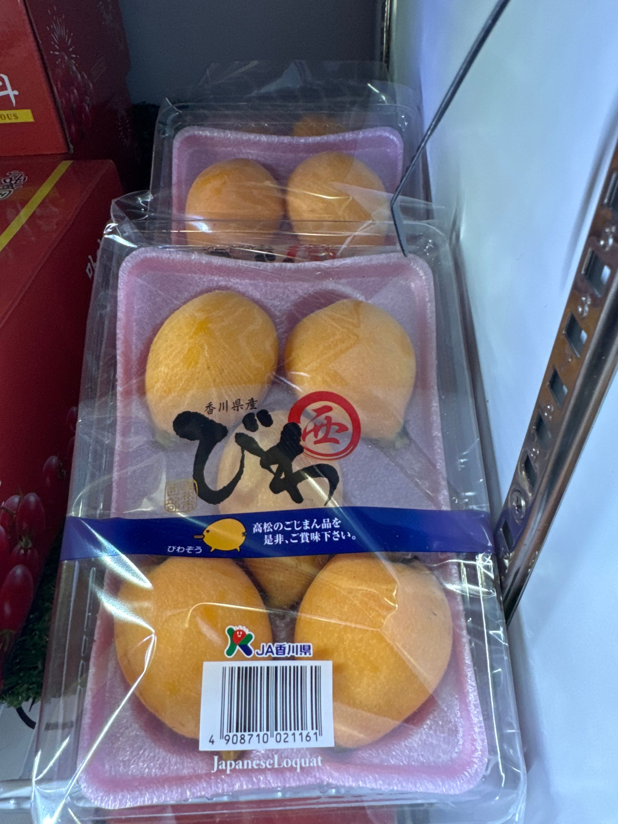 Nagasaki Super Jumbo Loquat _0