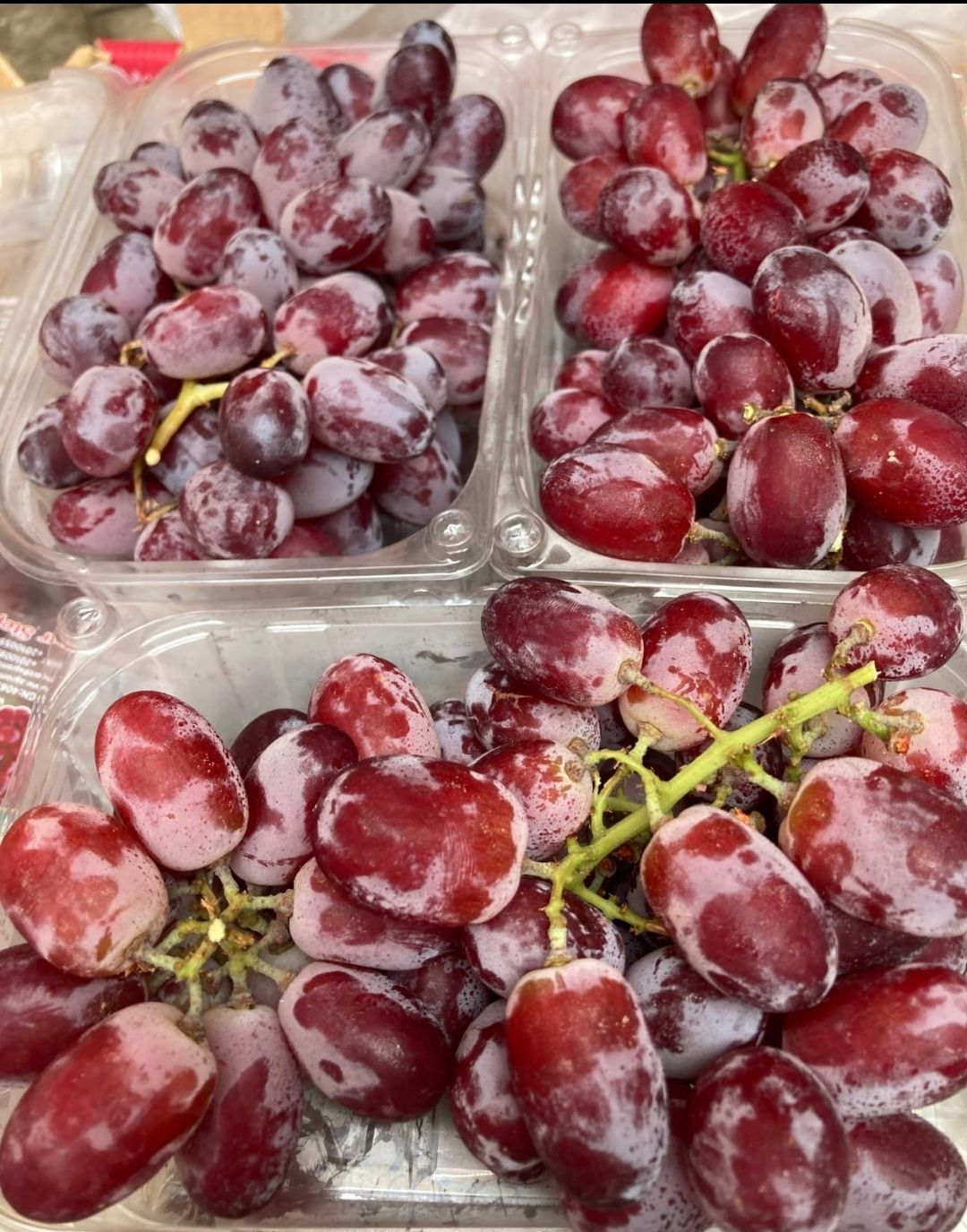 Redseedless grapes 500 g_0