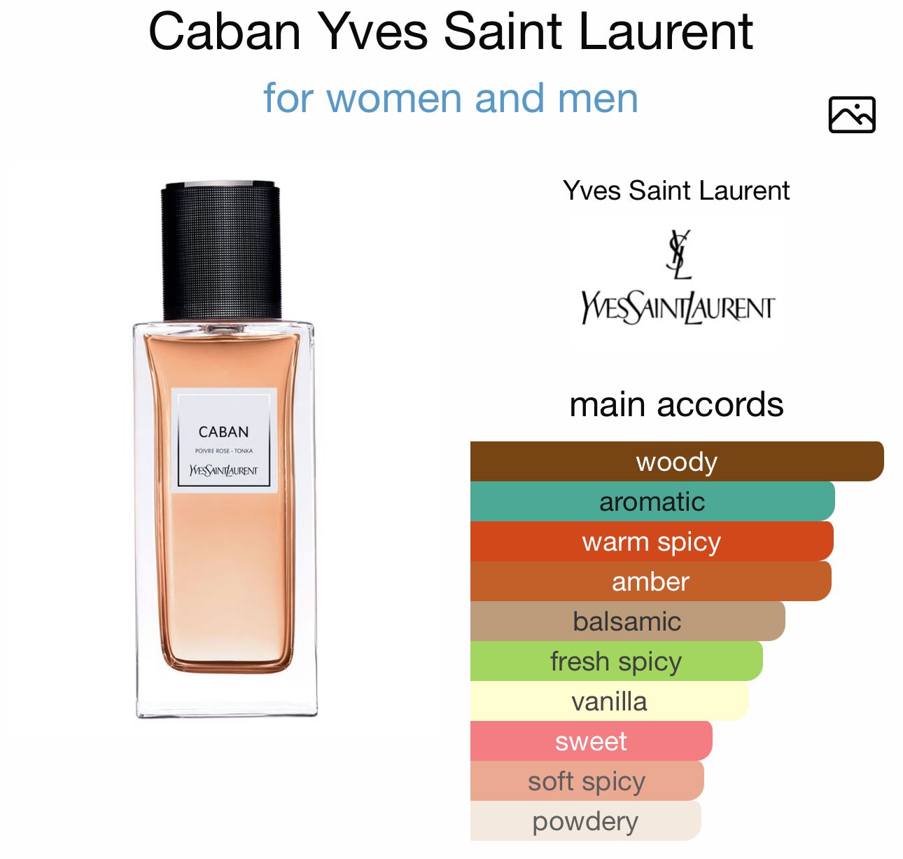 Perfume sant Laurent - Caban _3