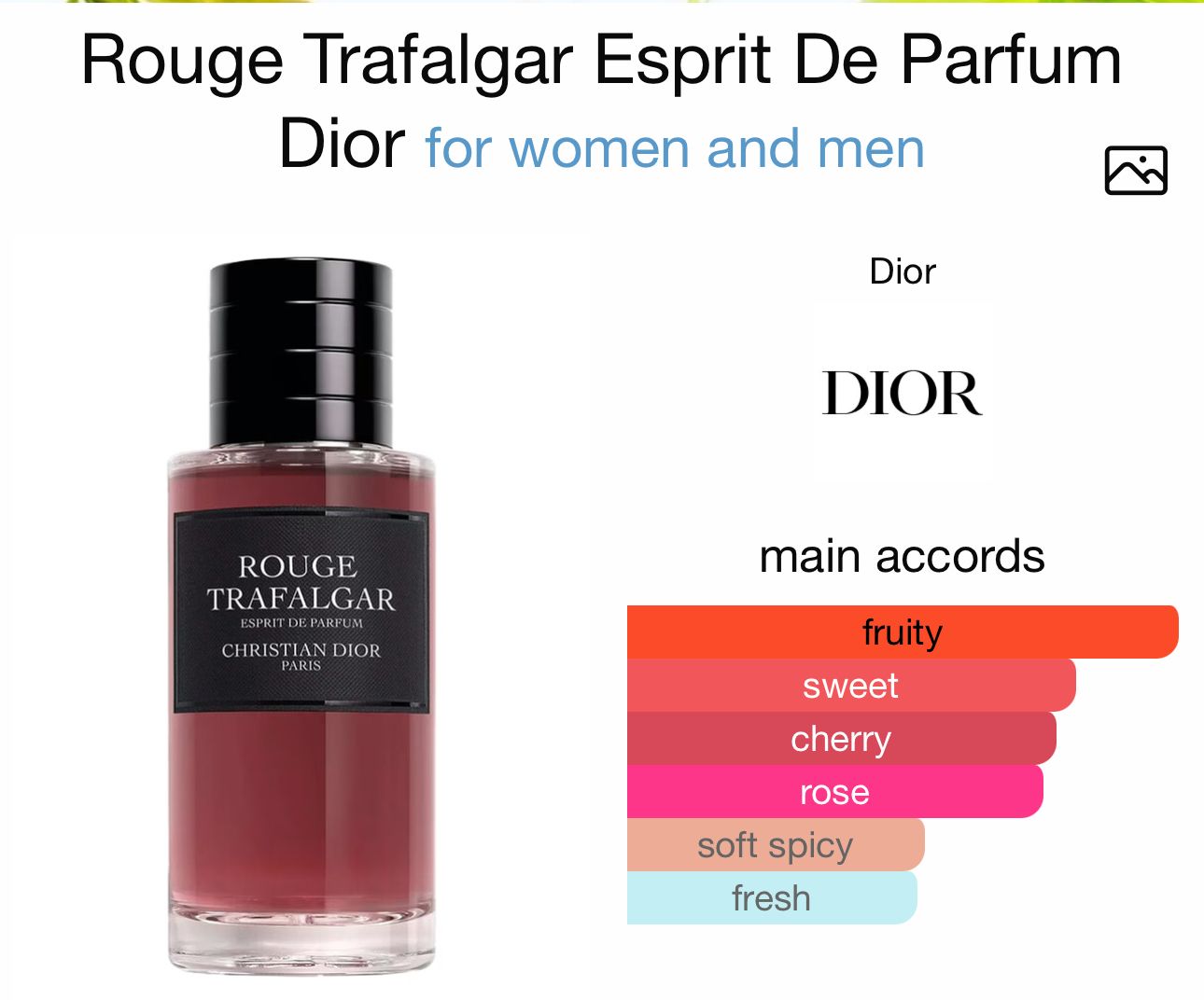 Perfume Dior - rouge Trafalgar espírit de perfume _3