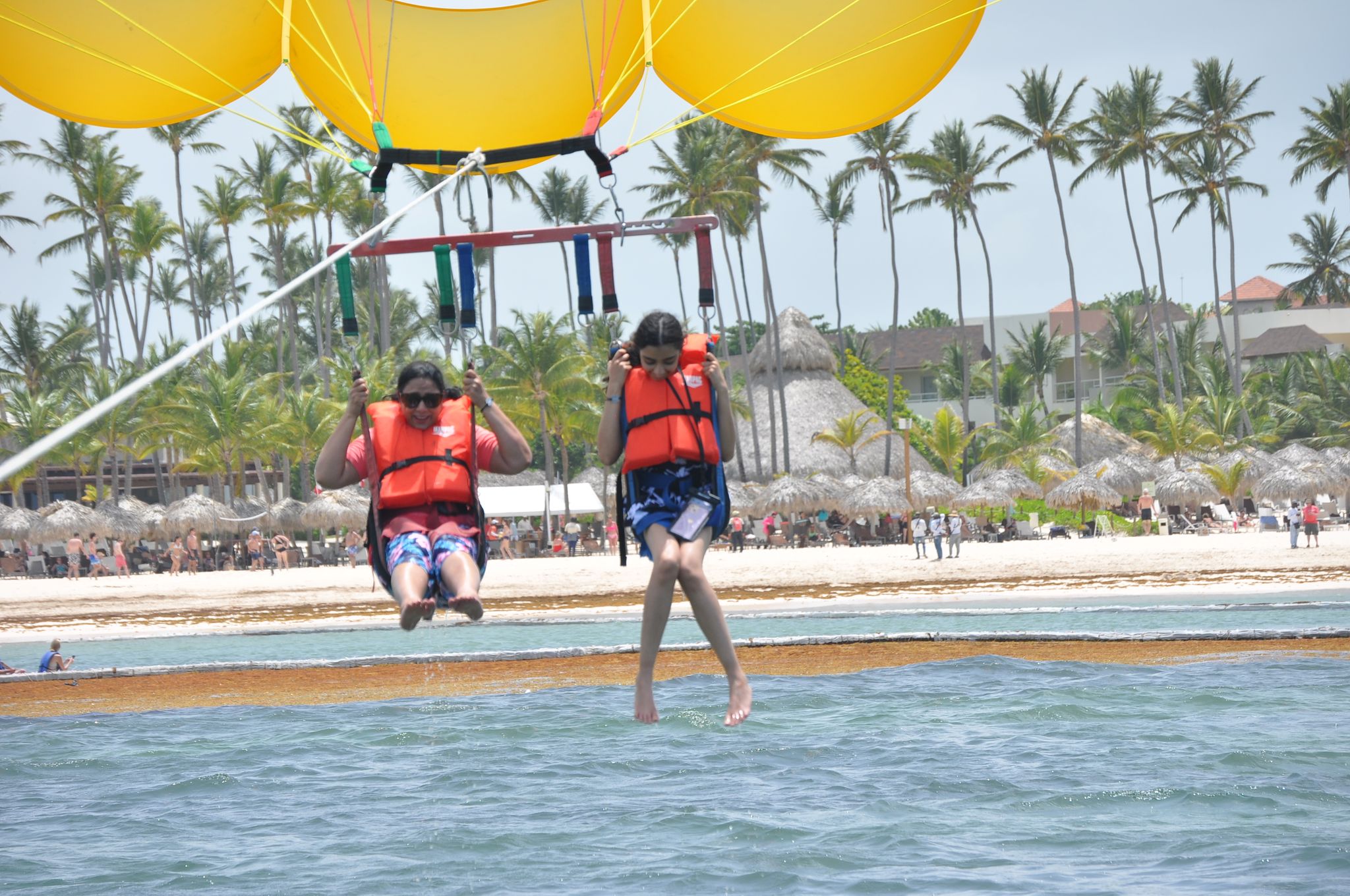 ⚜️PARACELLIN⚜️_11