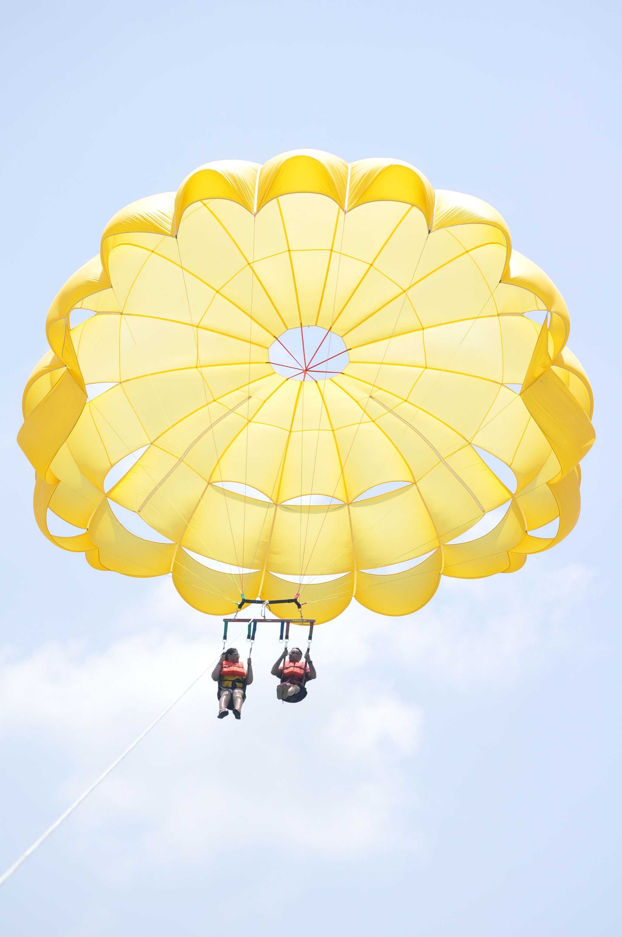 ⚜️PARACELLIN⚜️_6