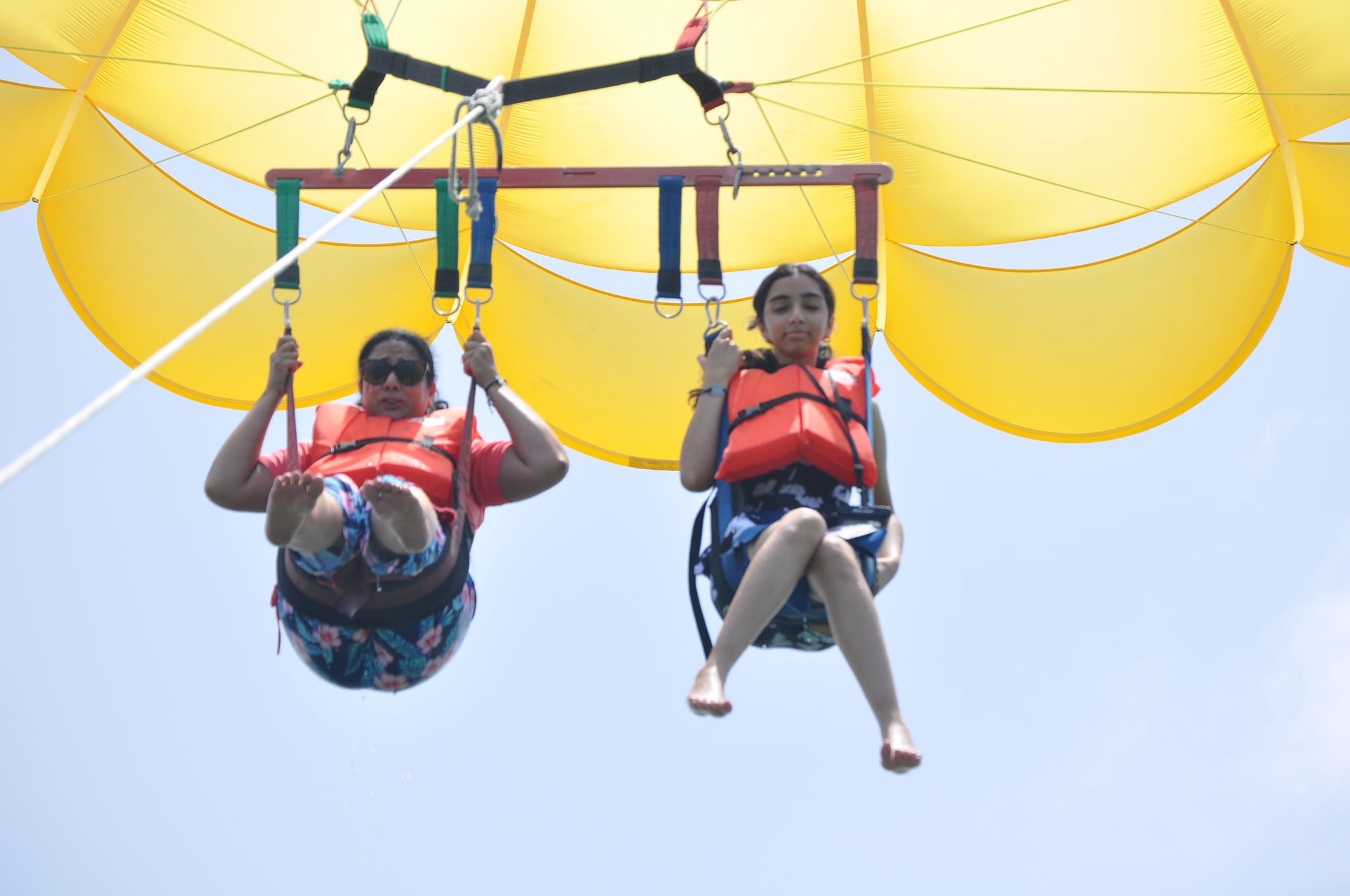 ⚜️PARACELLIN⚜️_10