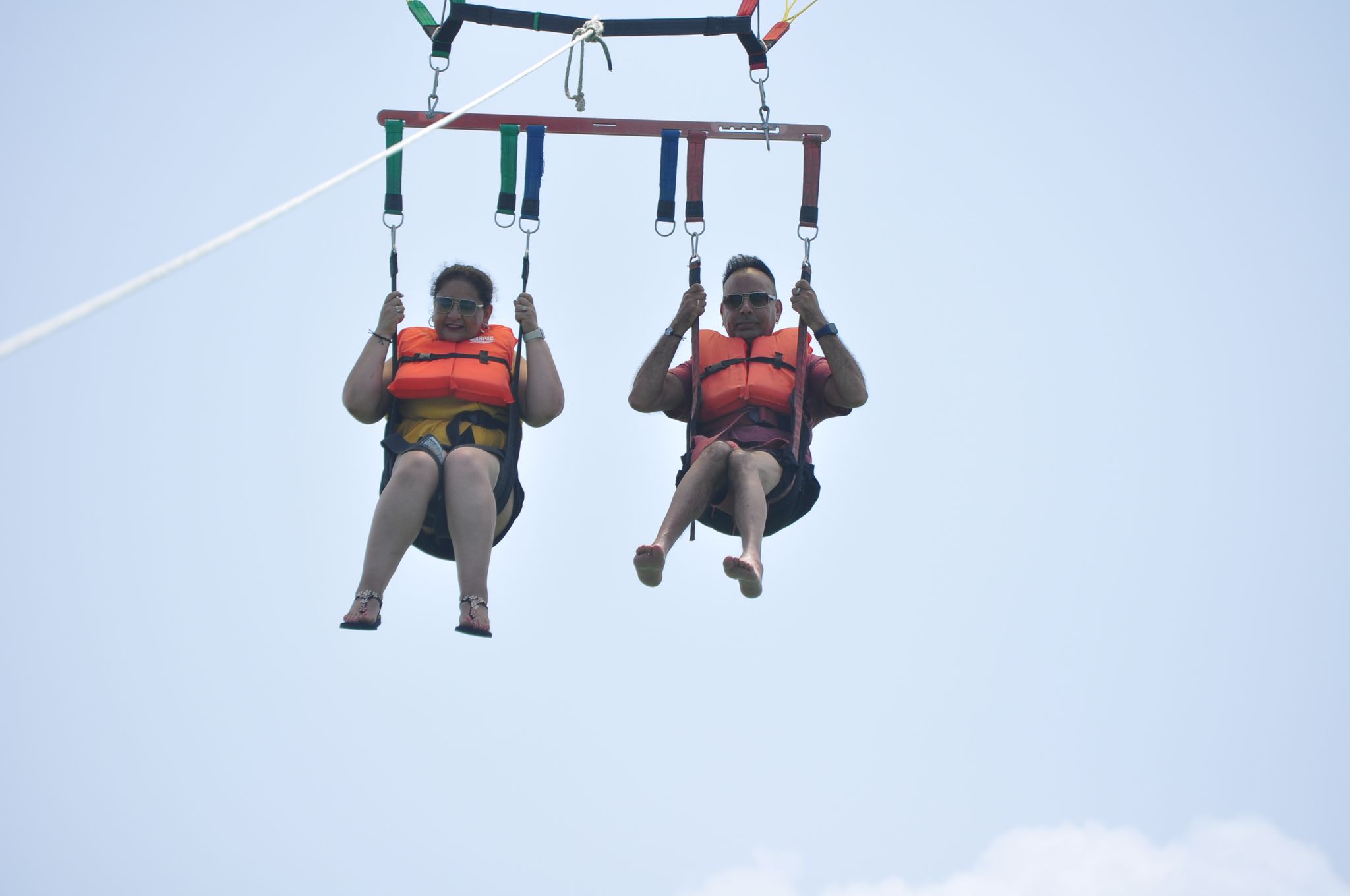 ⚜️PARACELLIN⚜️_2