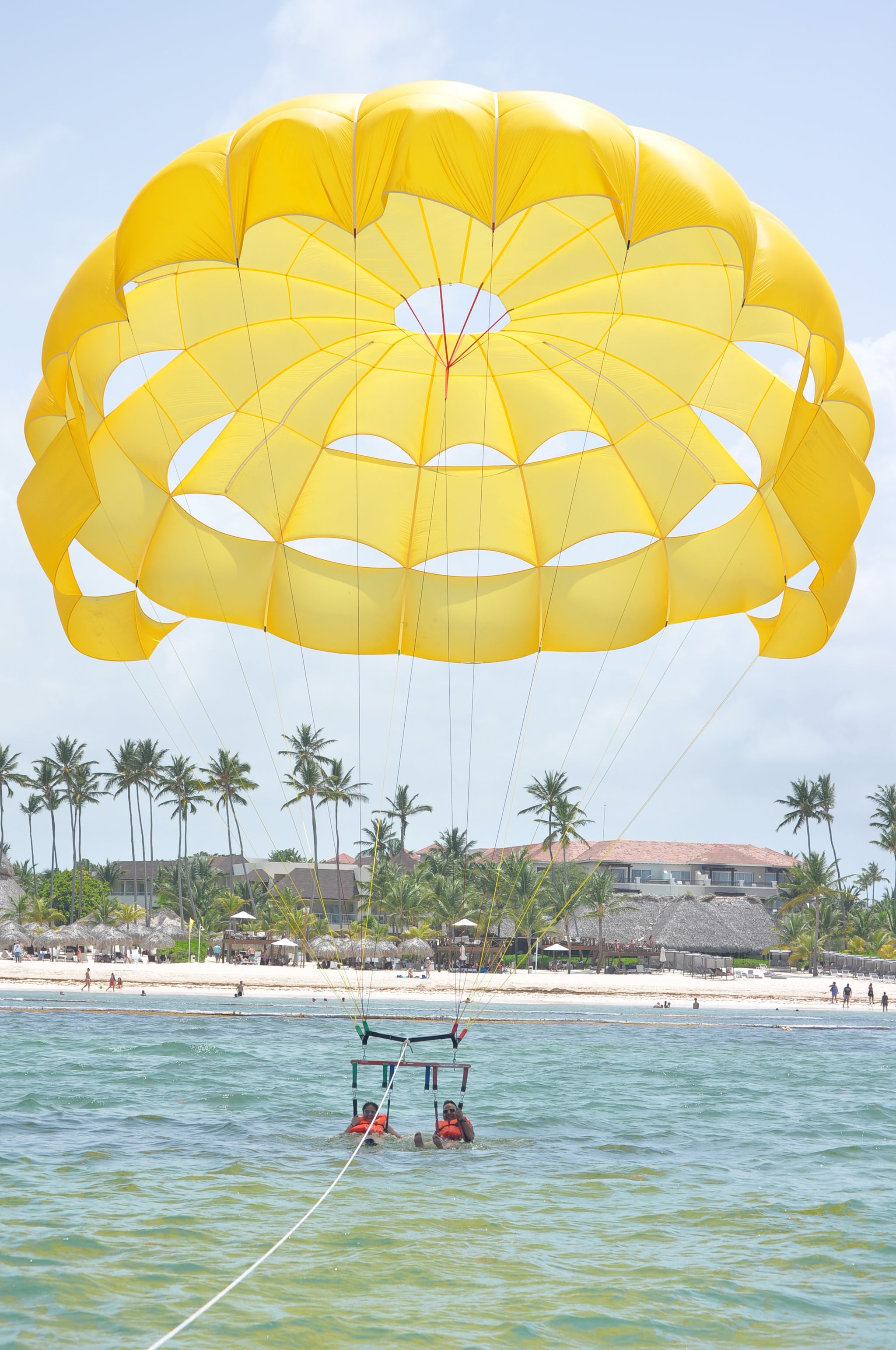 ⚜️PARACELLIN⚜️_3