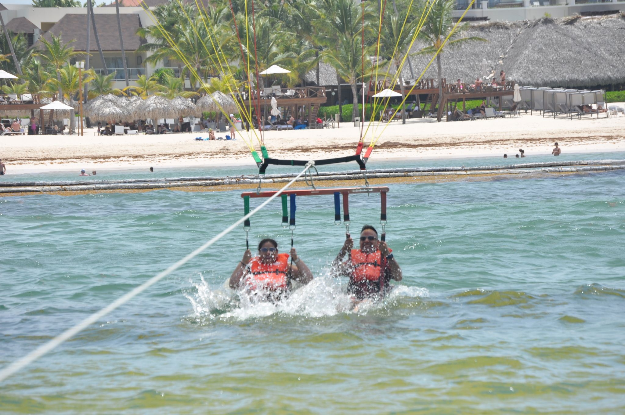 ⚜️PARACELLIN⚜️_1