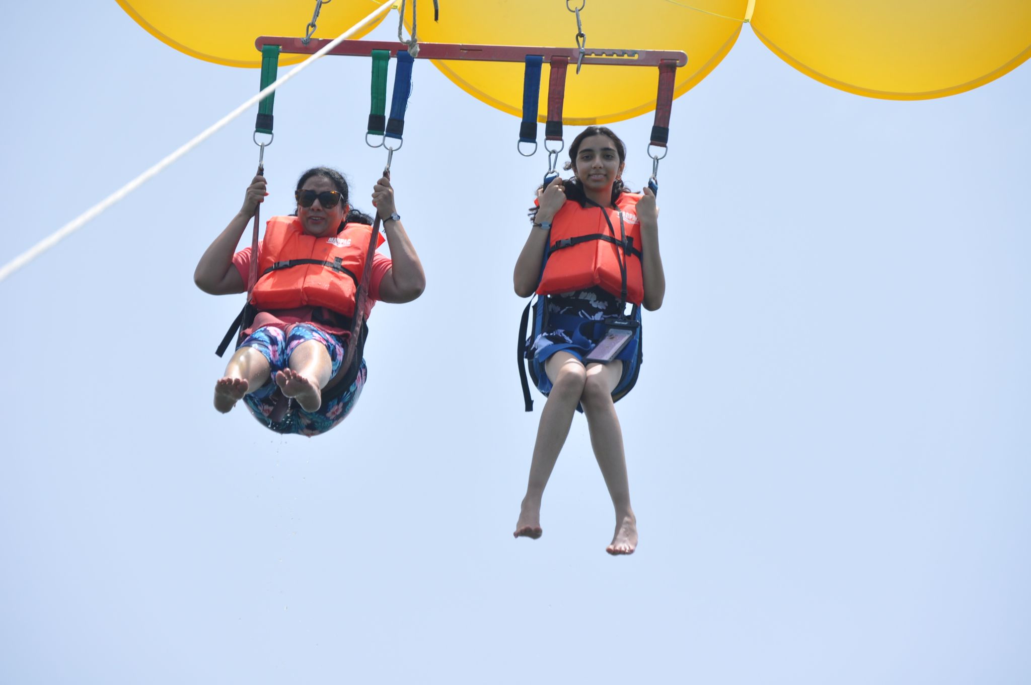 ⚜️PARACELLIN⚜️_8