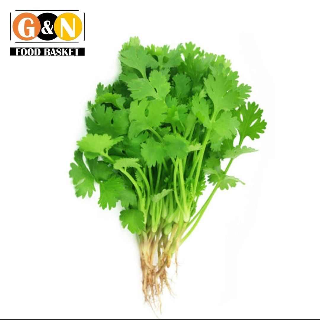Coriander bunch_0
