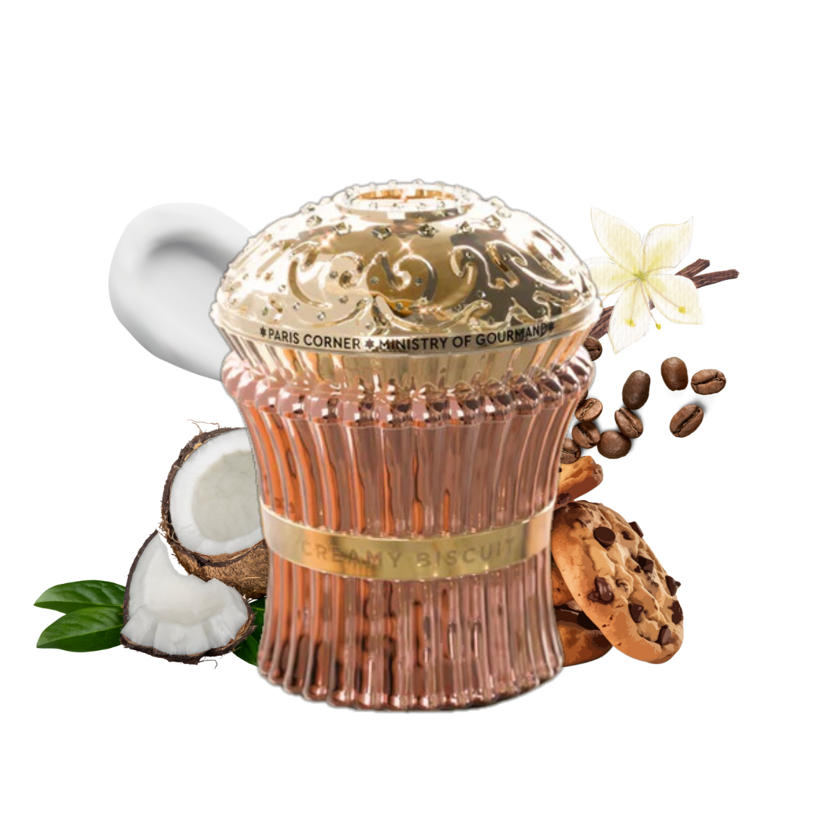 Creamy Biscuit by Paris Corner_2