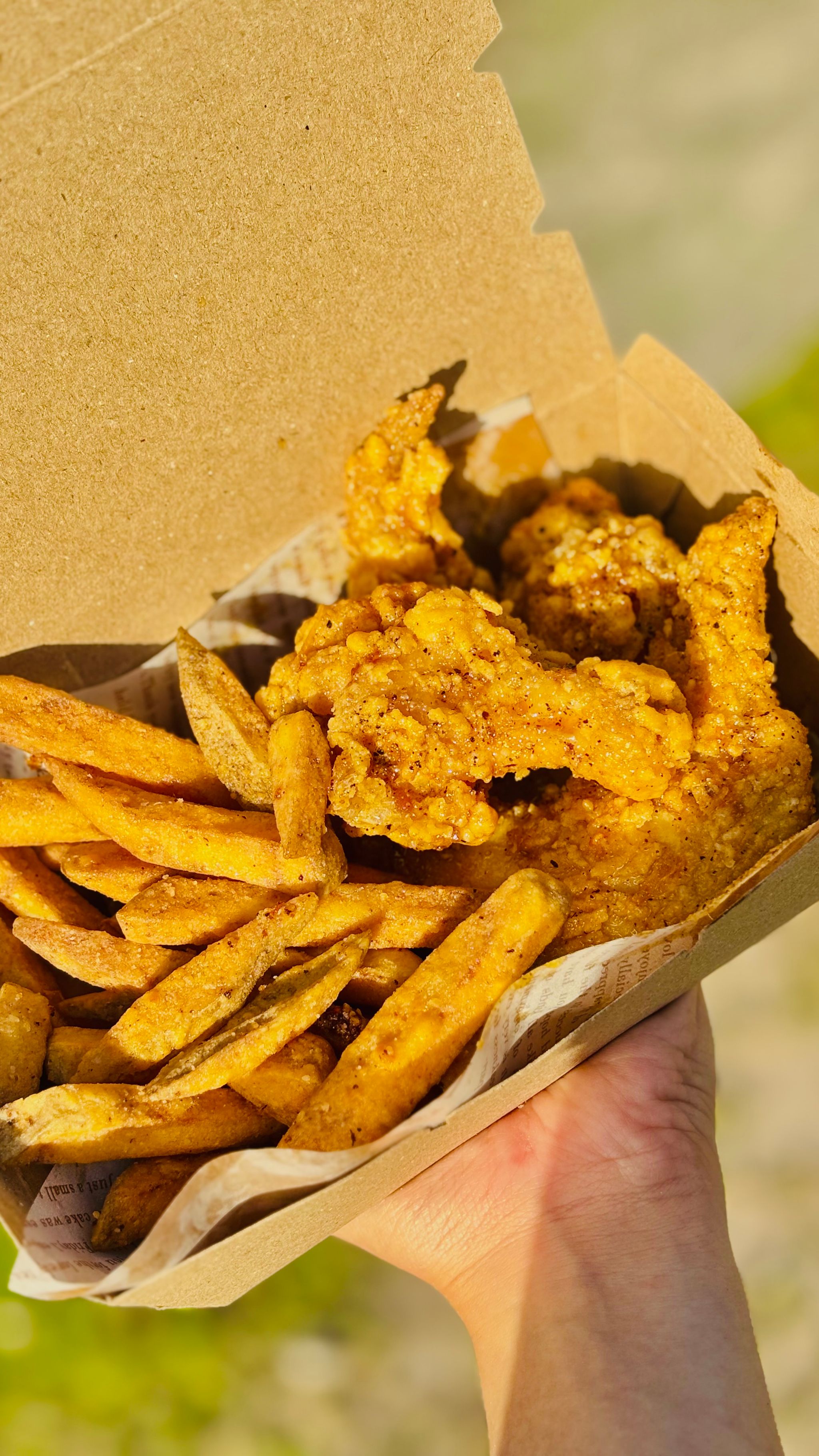 Combo (2PCS WING&DRUM WITH FRIES)_0