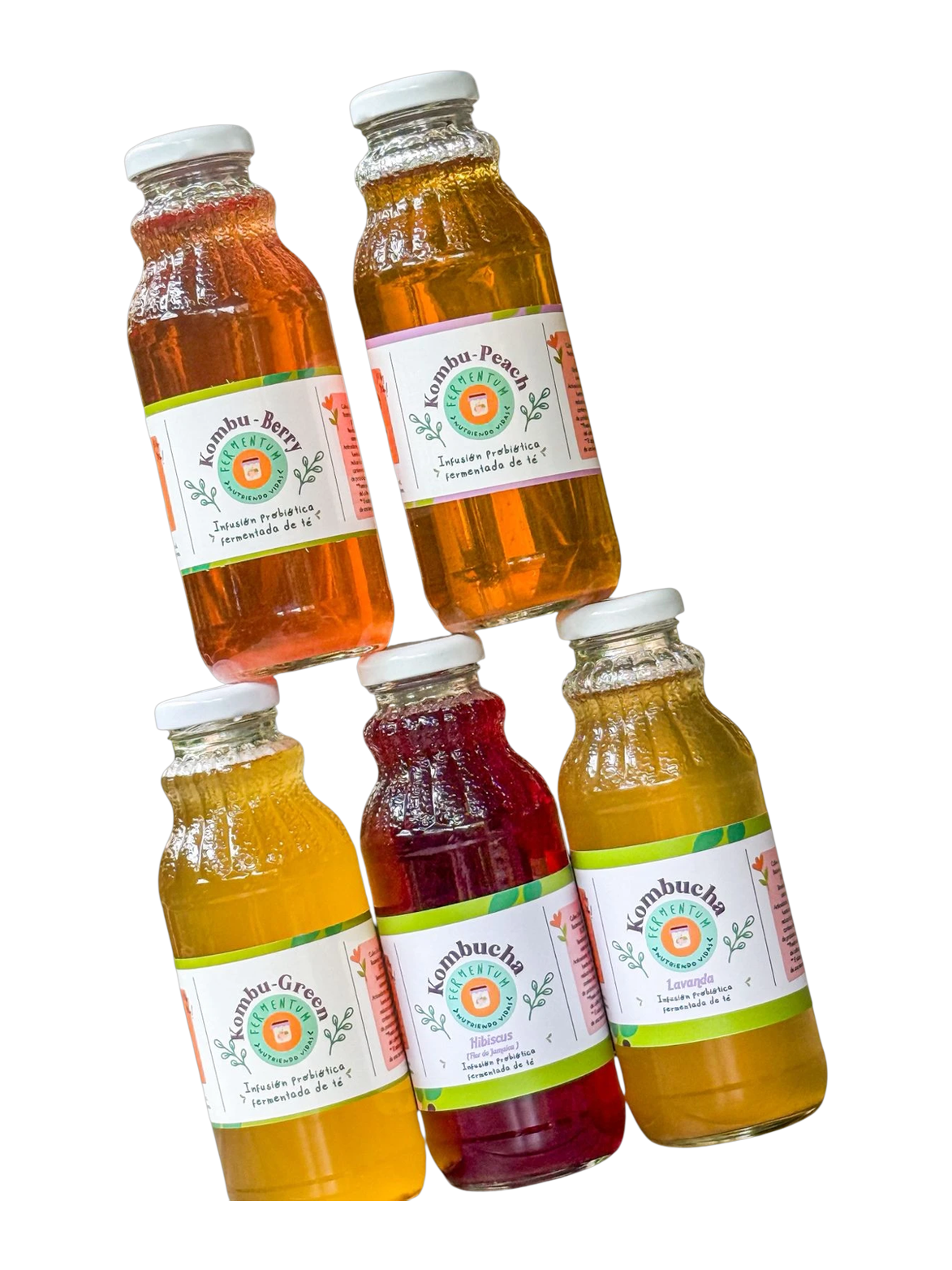 Fermentum Kombucha Varieties / Variedades de Kombucha Fermentum_0