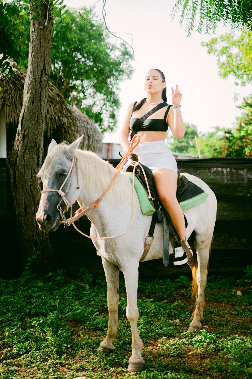 Horseback Riding – Aventura a Caballo en la Naturaleza Dominicana _11