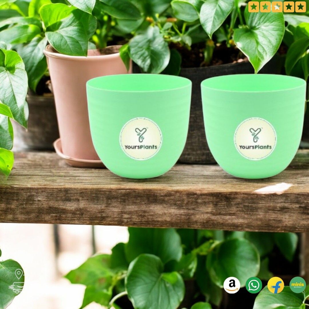 Green Verona Plants Pot for Home & Office Decor {Pack of 2}_6